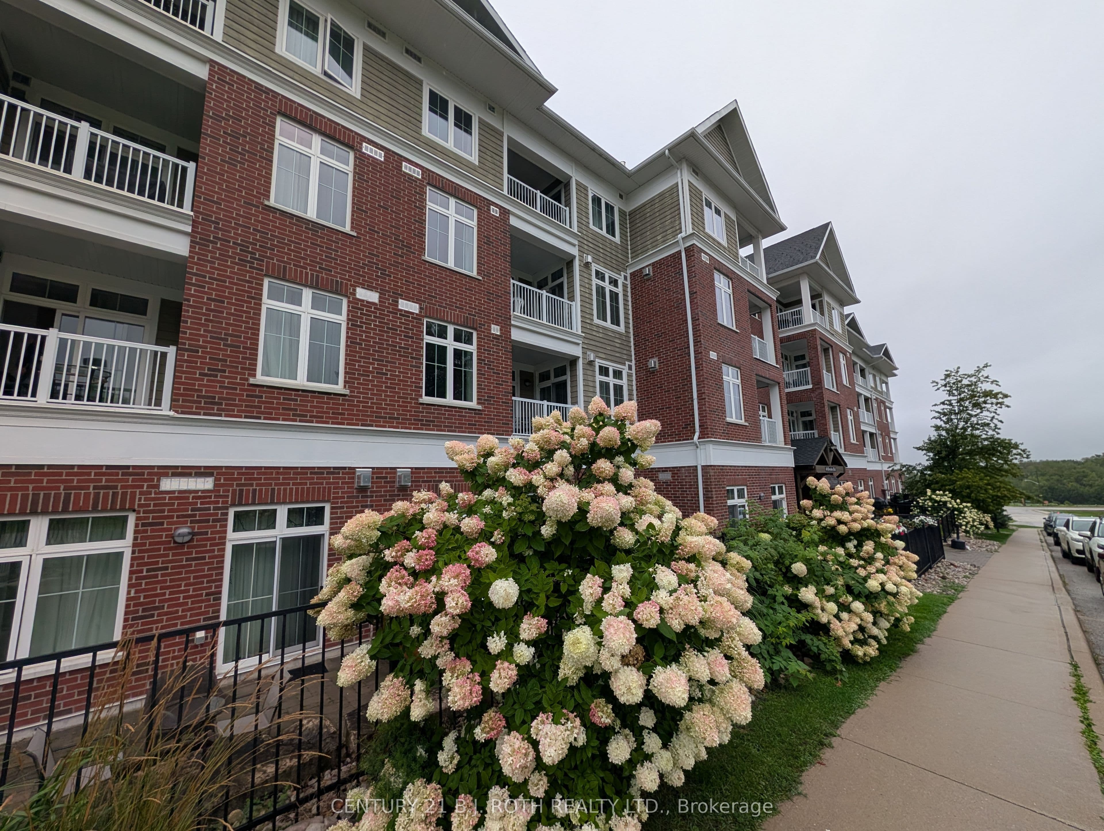 Listing 285360 Image