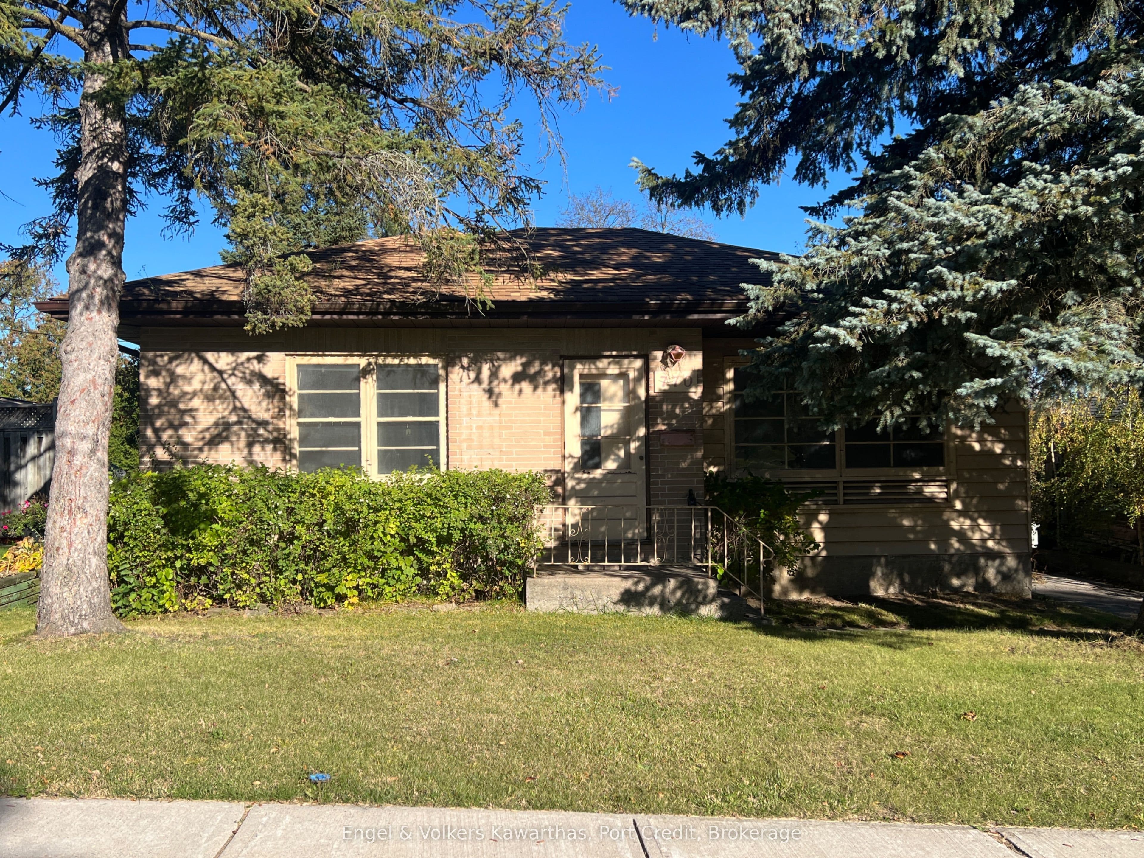 Main Property