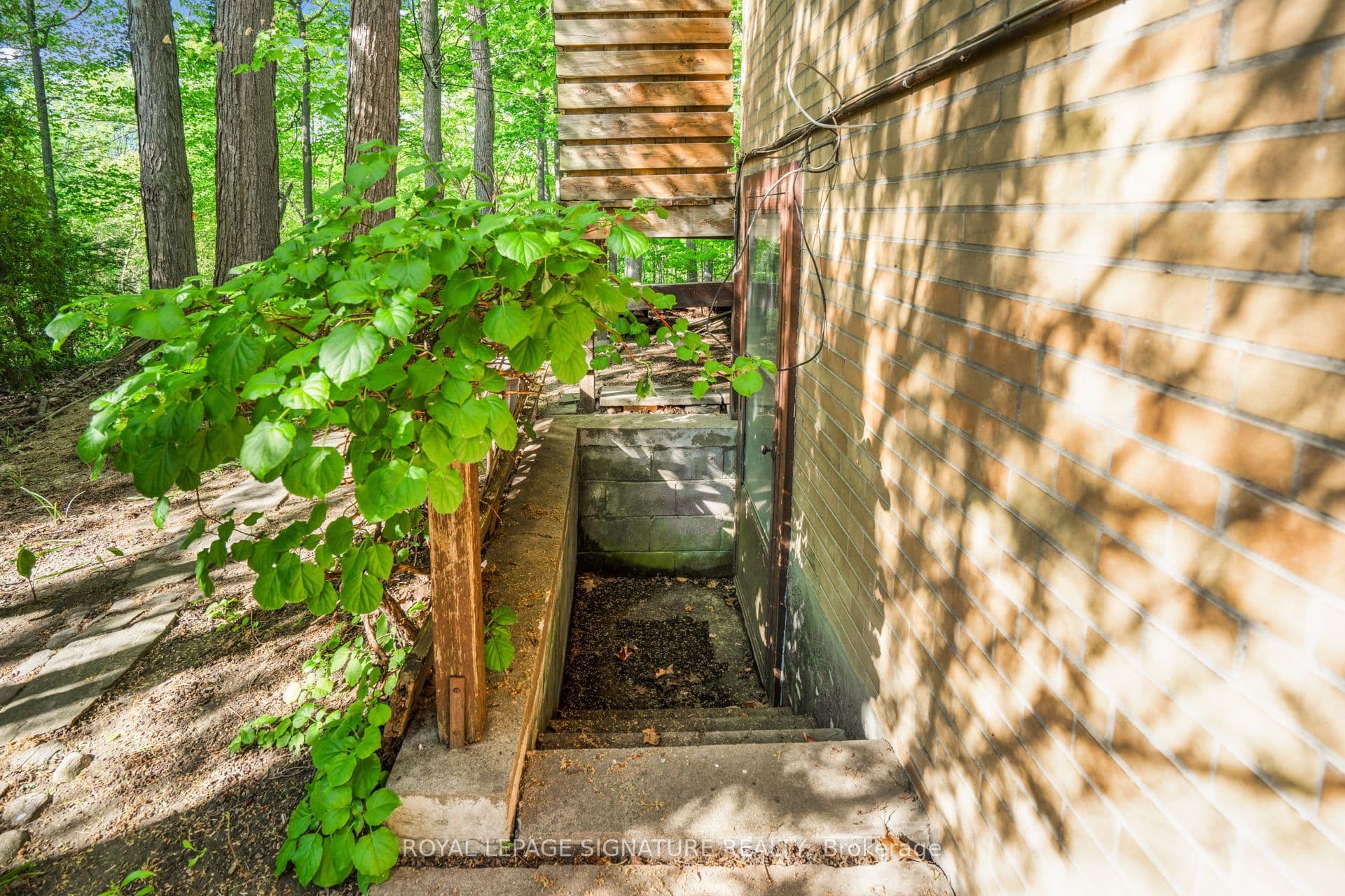 Listing 286025 Image