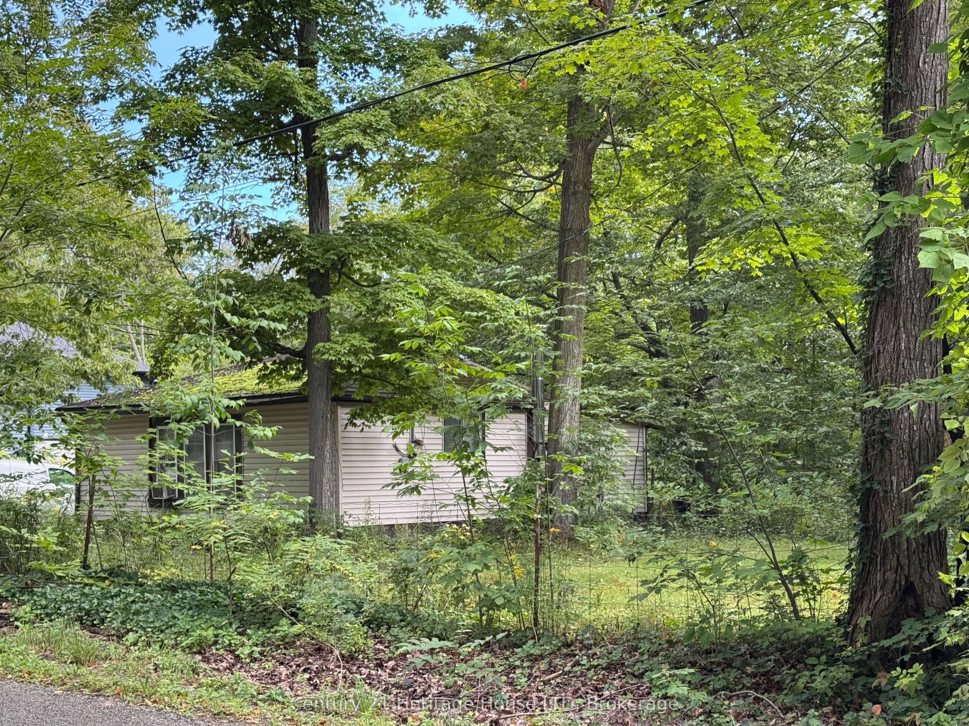 Listing 291890 Image