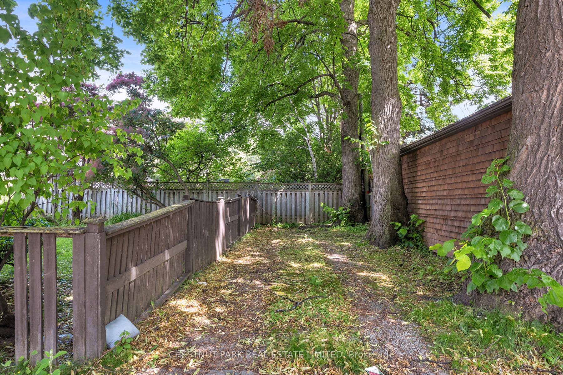 Listing 294194 Image