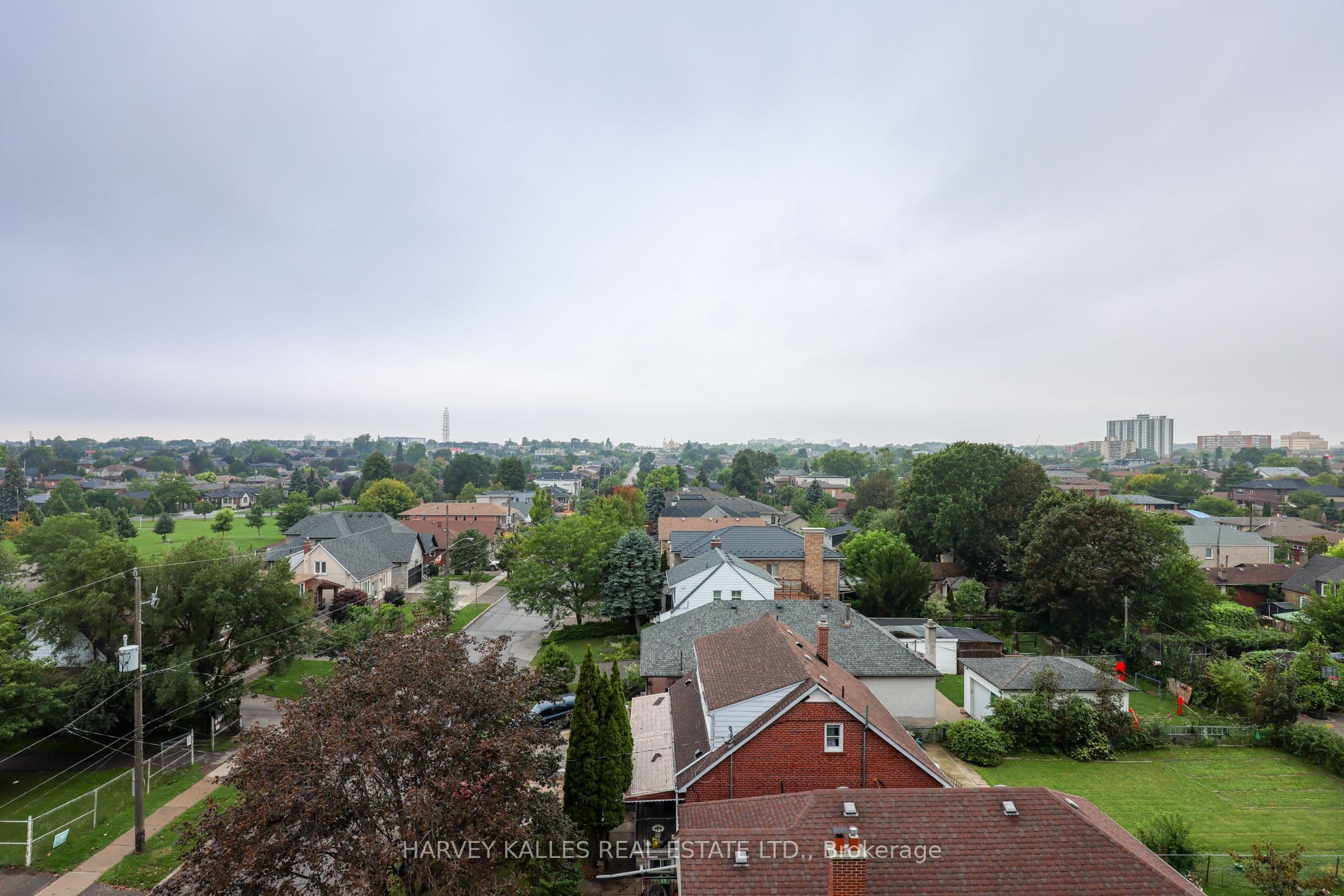 Listing 294969 Image