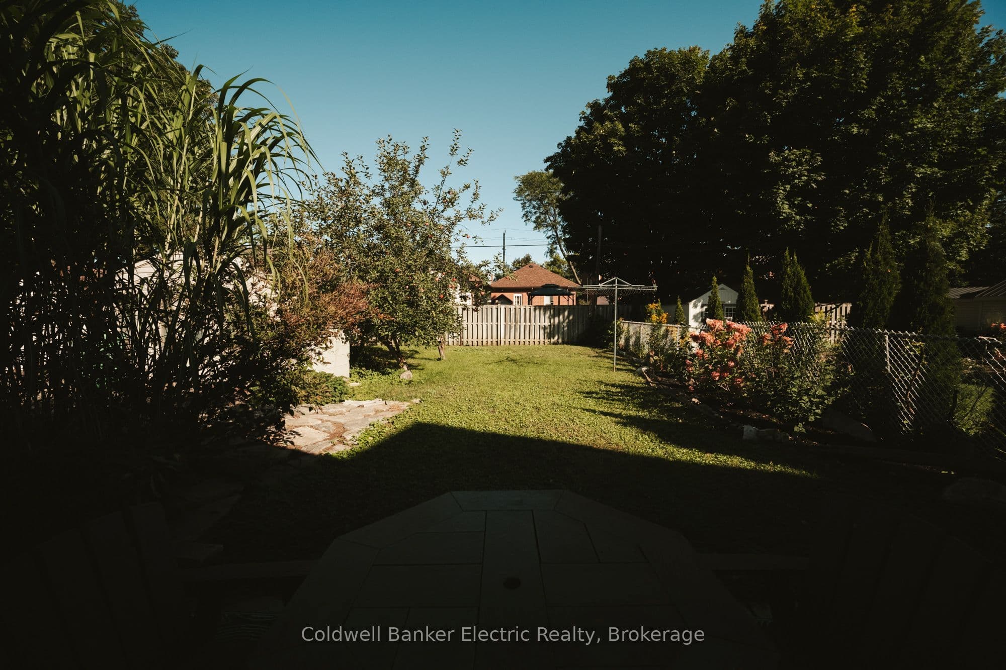 Listing 307688 Image
