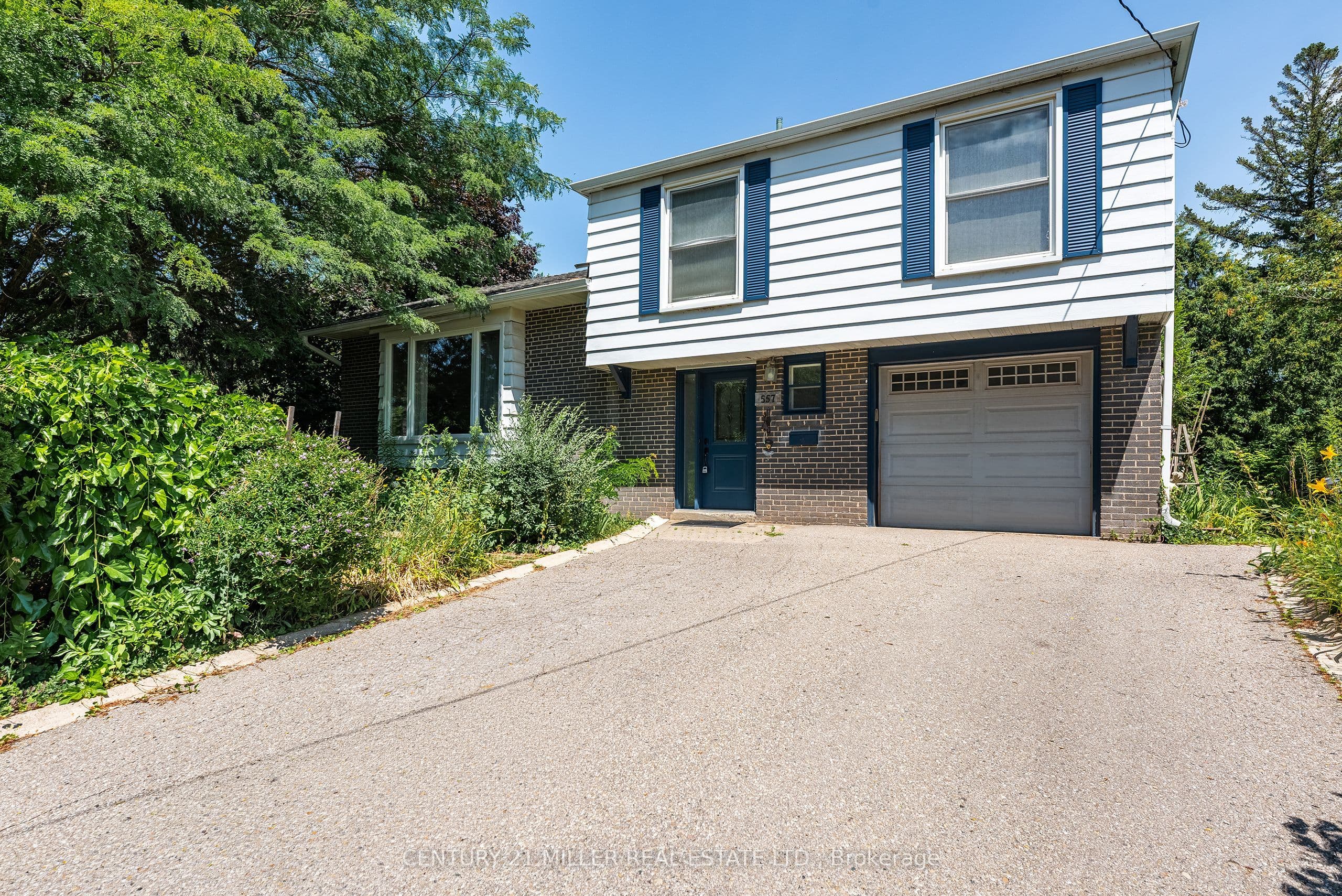 Listing 302847 Image