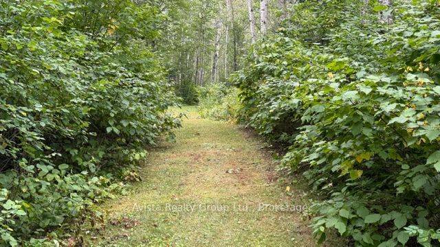 Listing 286313 Image