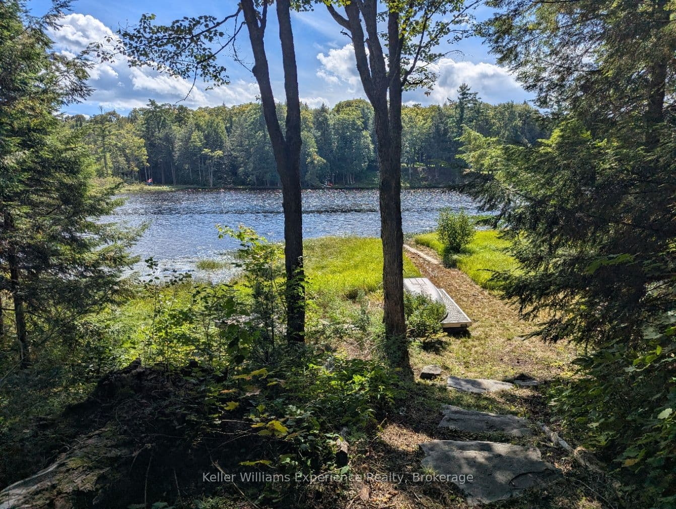 Listing 289536 Image