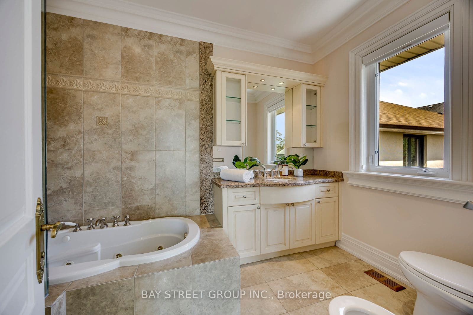 Listing 293101 Image
