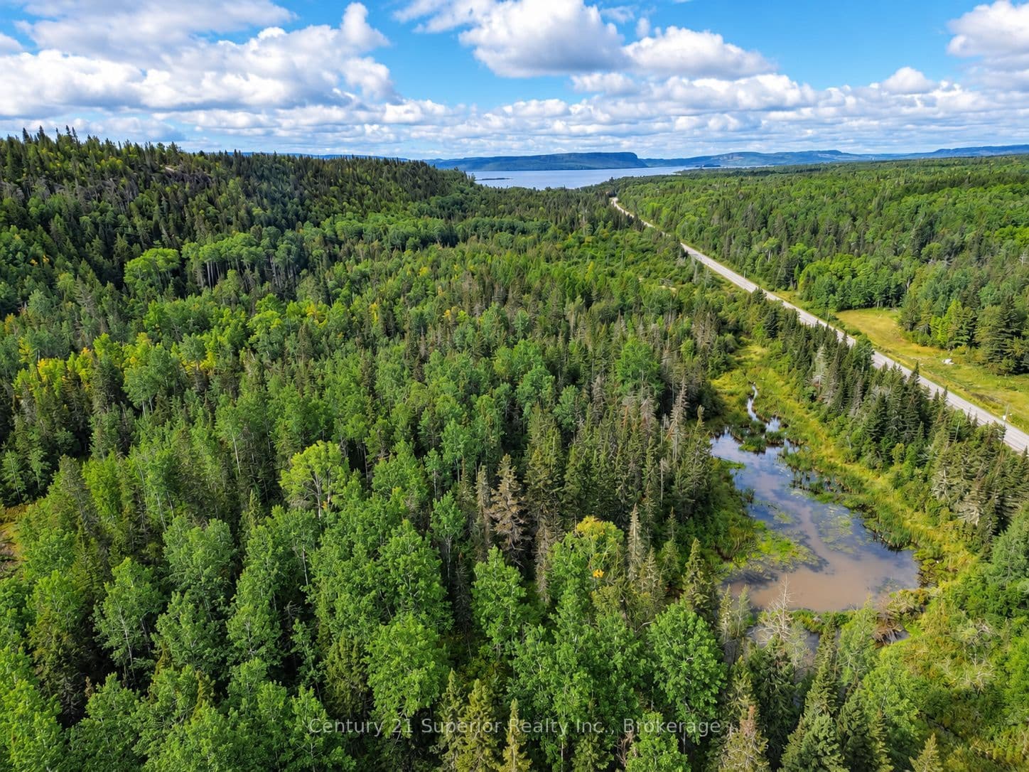 Main Property