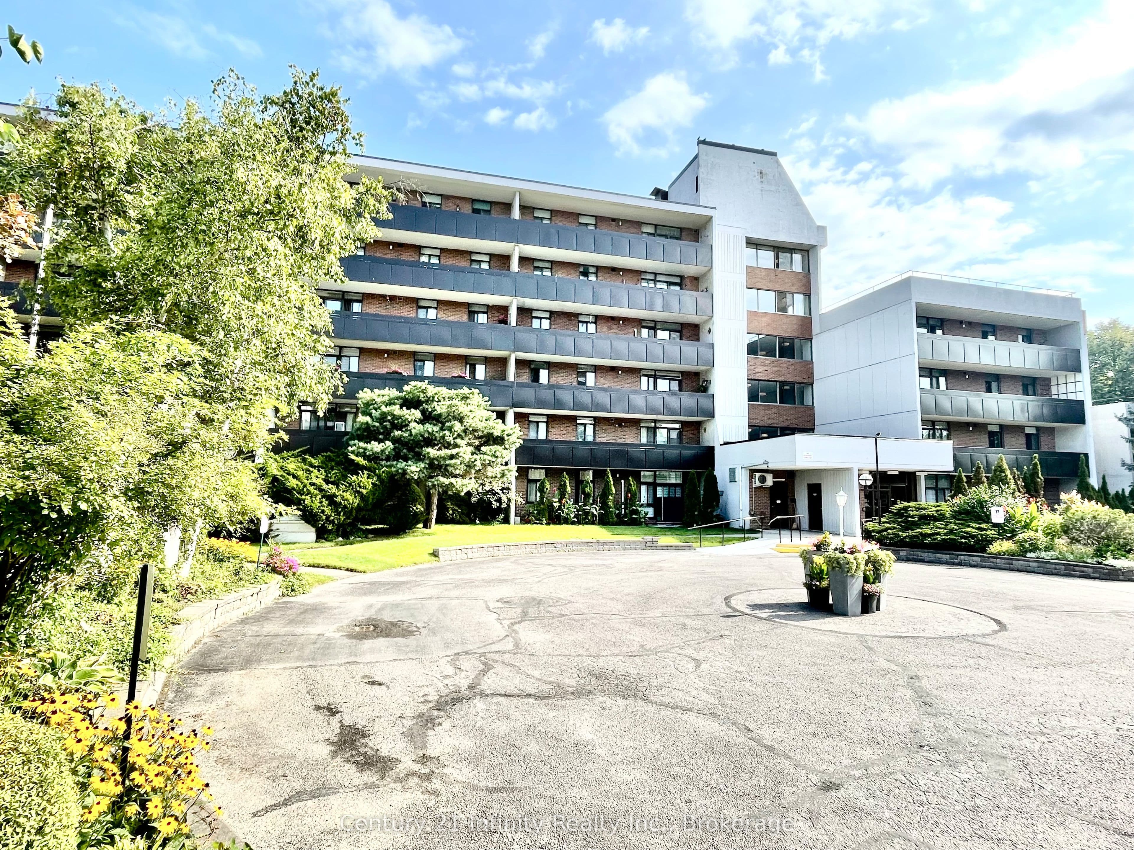 Listing 289436 Image