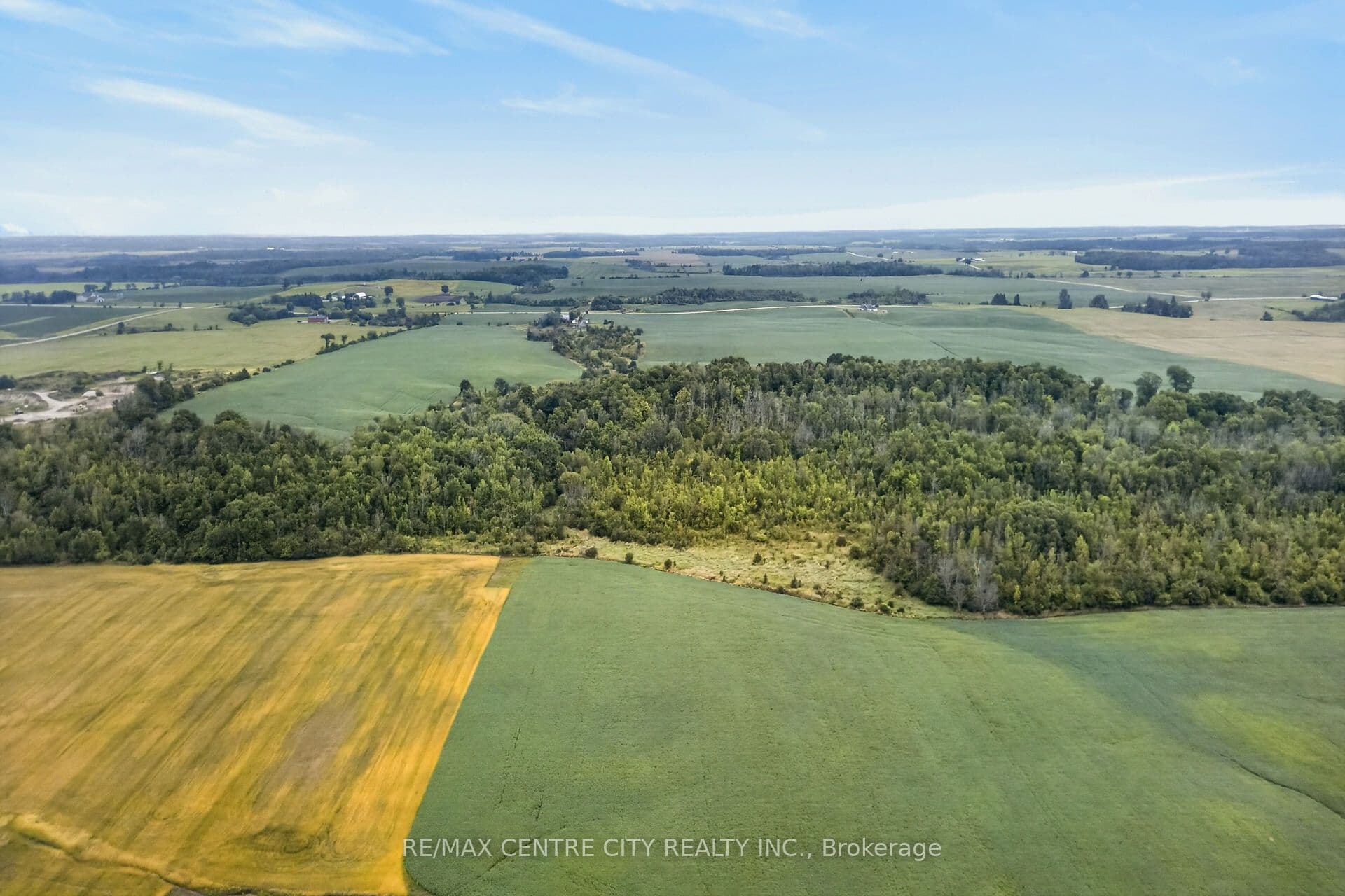 Listing 306541 Image