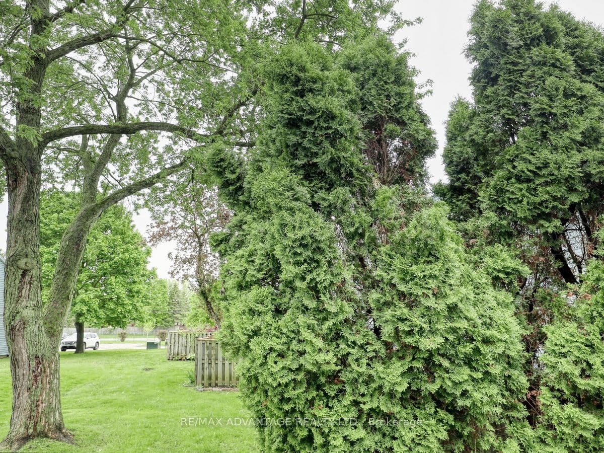 Listing 288420 Image