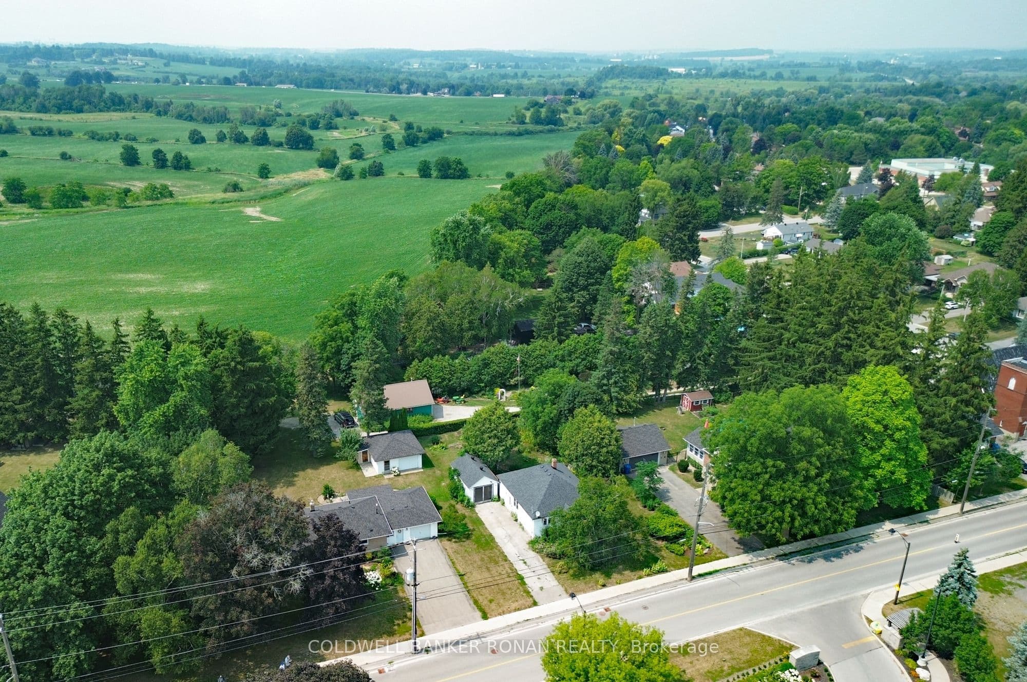 Listing 289061 Image