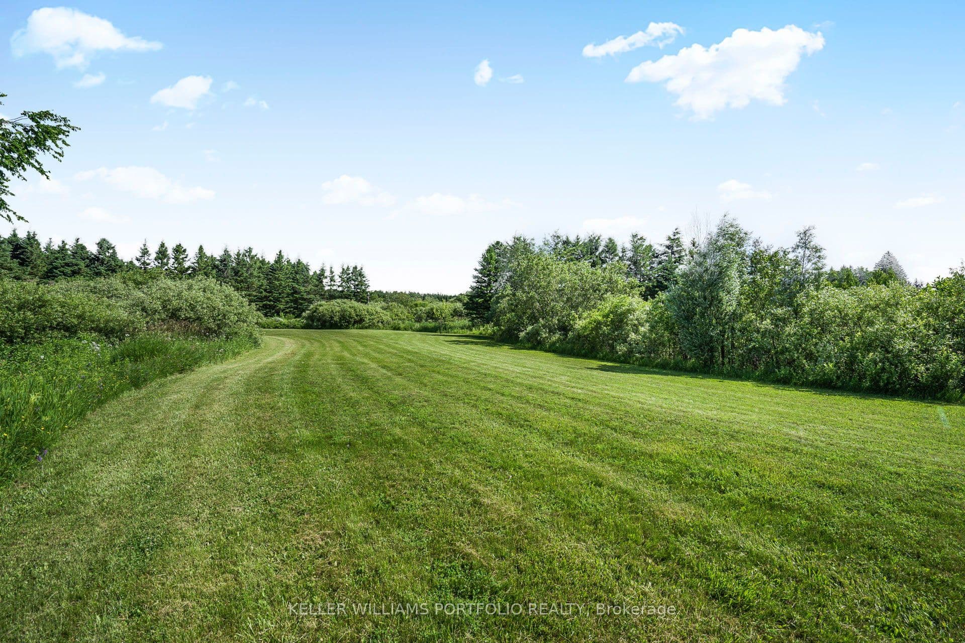 Listing 287902 Image