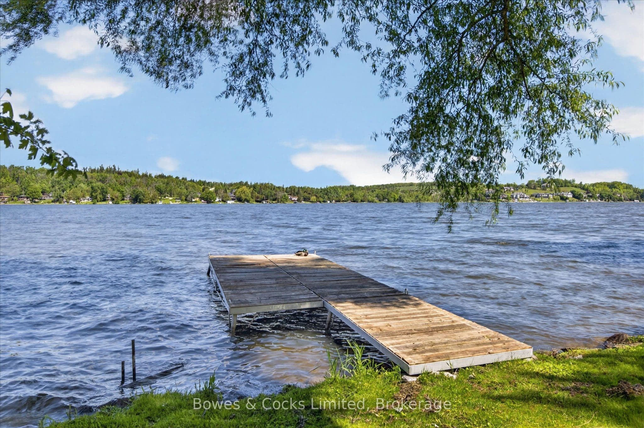 Listing 289386 Image