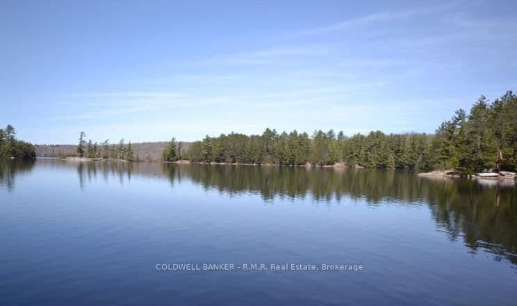 Listing 290380 Image