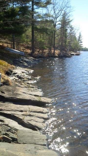 Listing 288710 Image