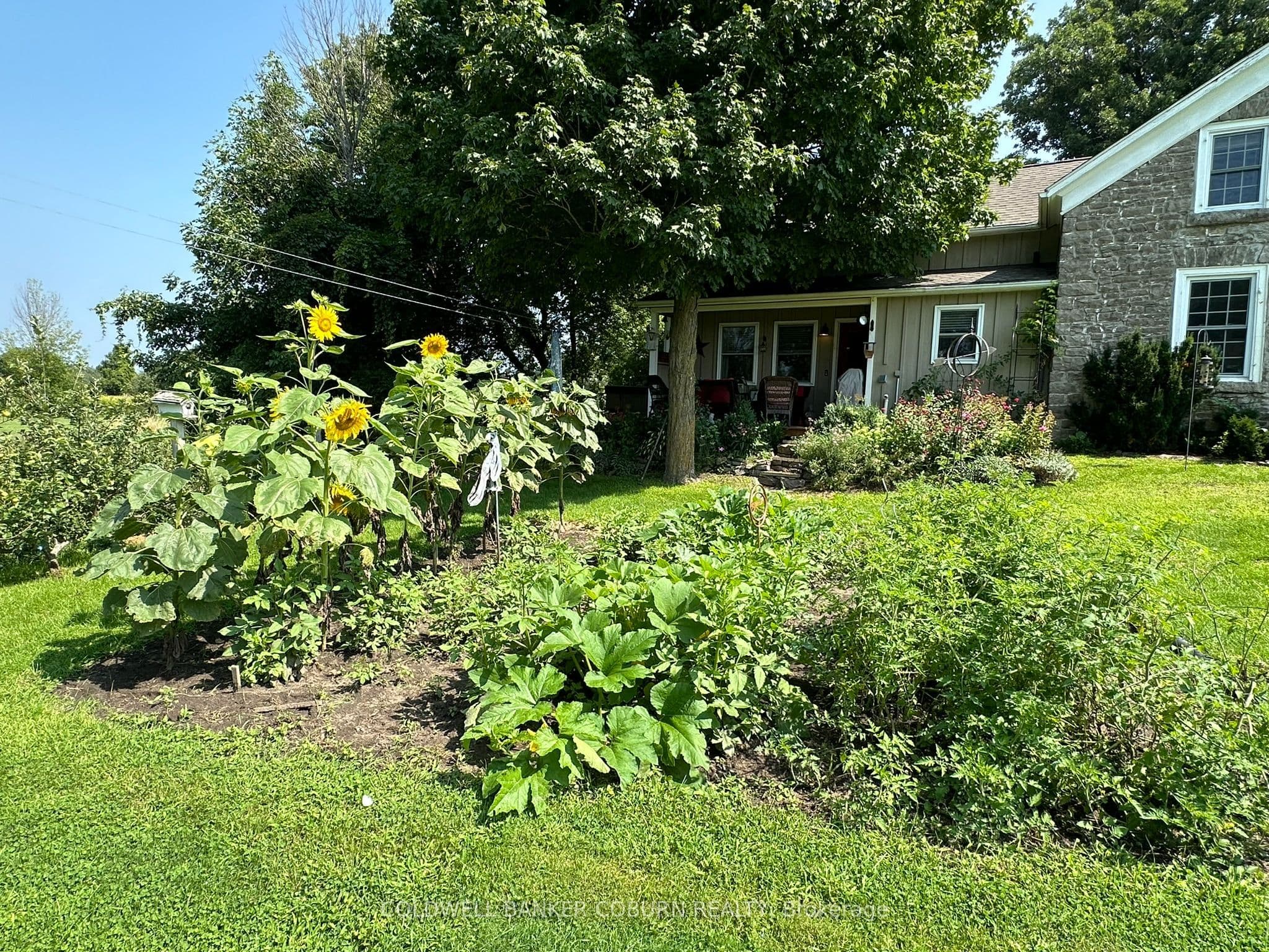 Listing 290913 Image