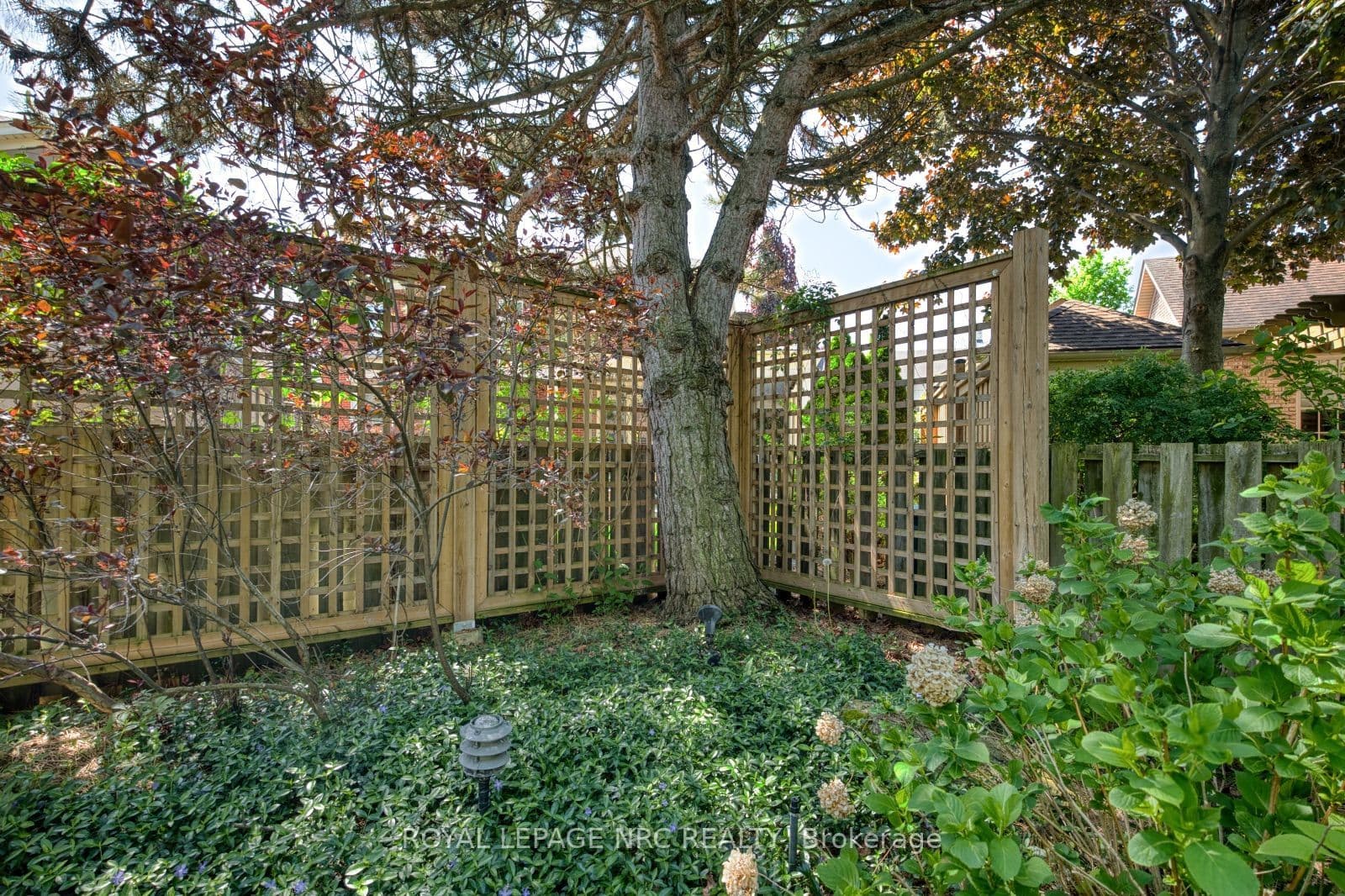 Listing 291119 Image