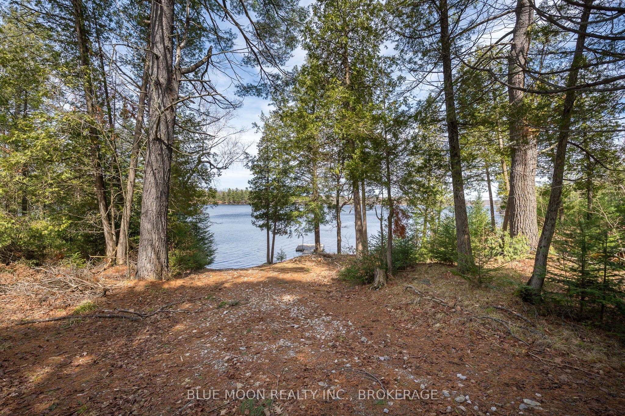 Listing 298886 Image