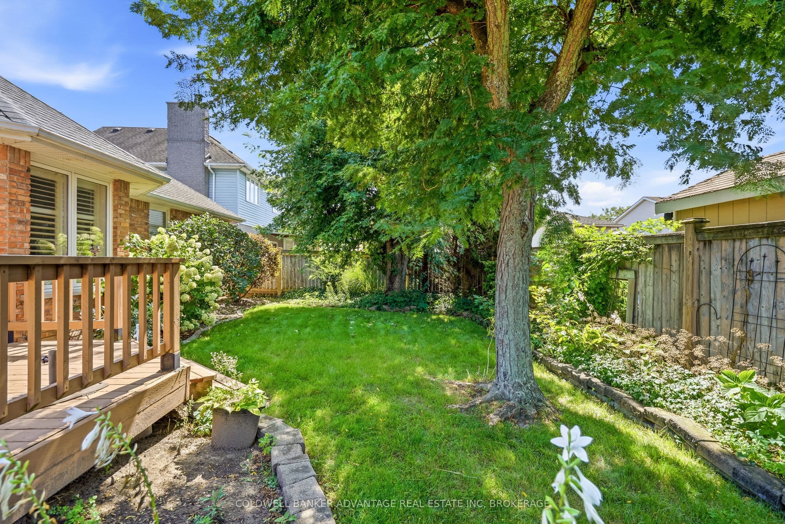 Listing 311660 Image
