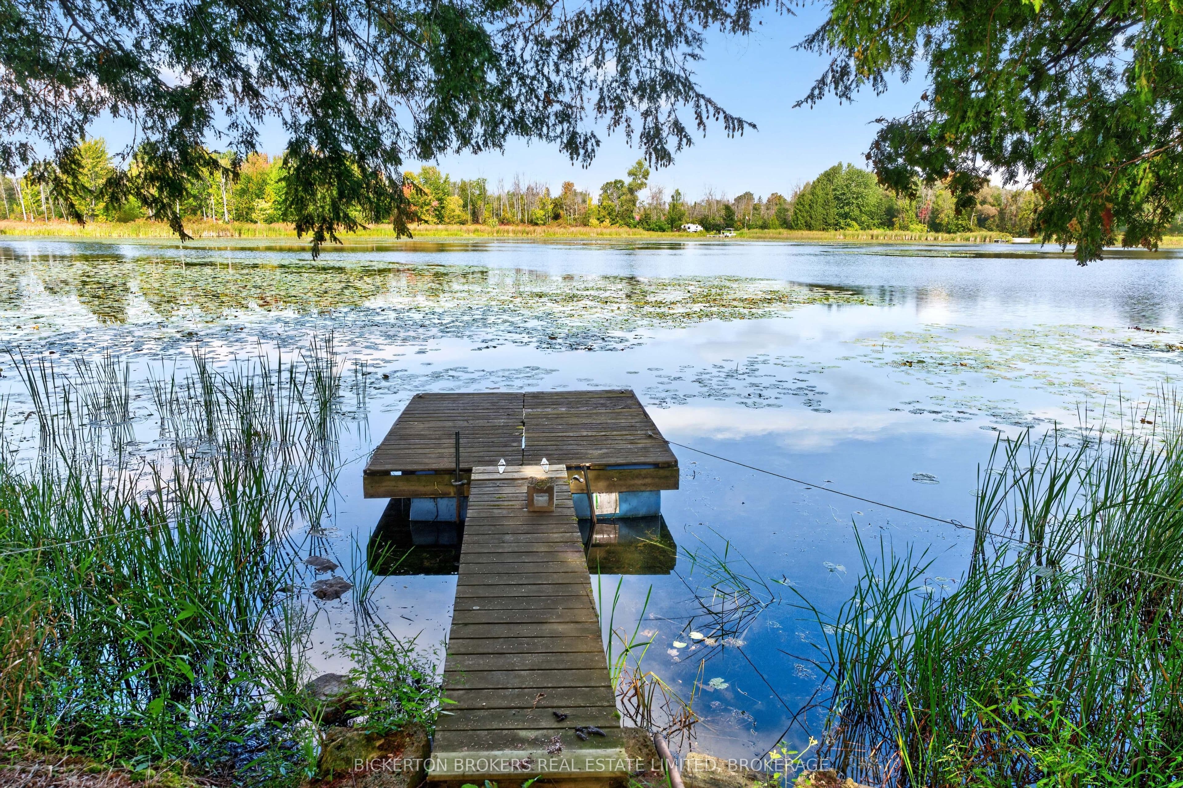 Listing 316440 Image
