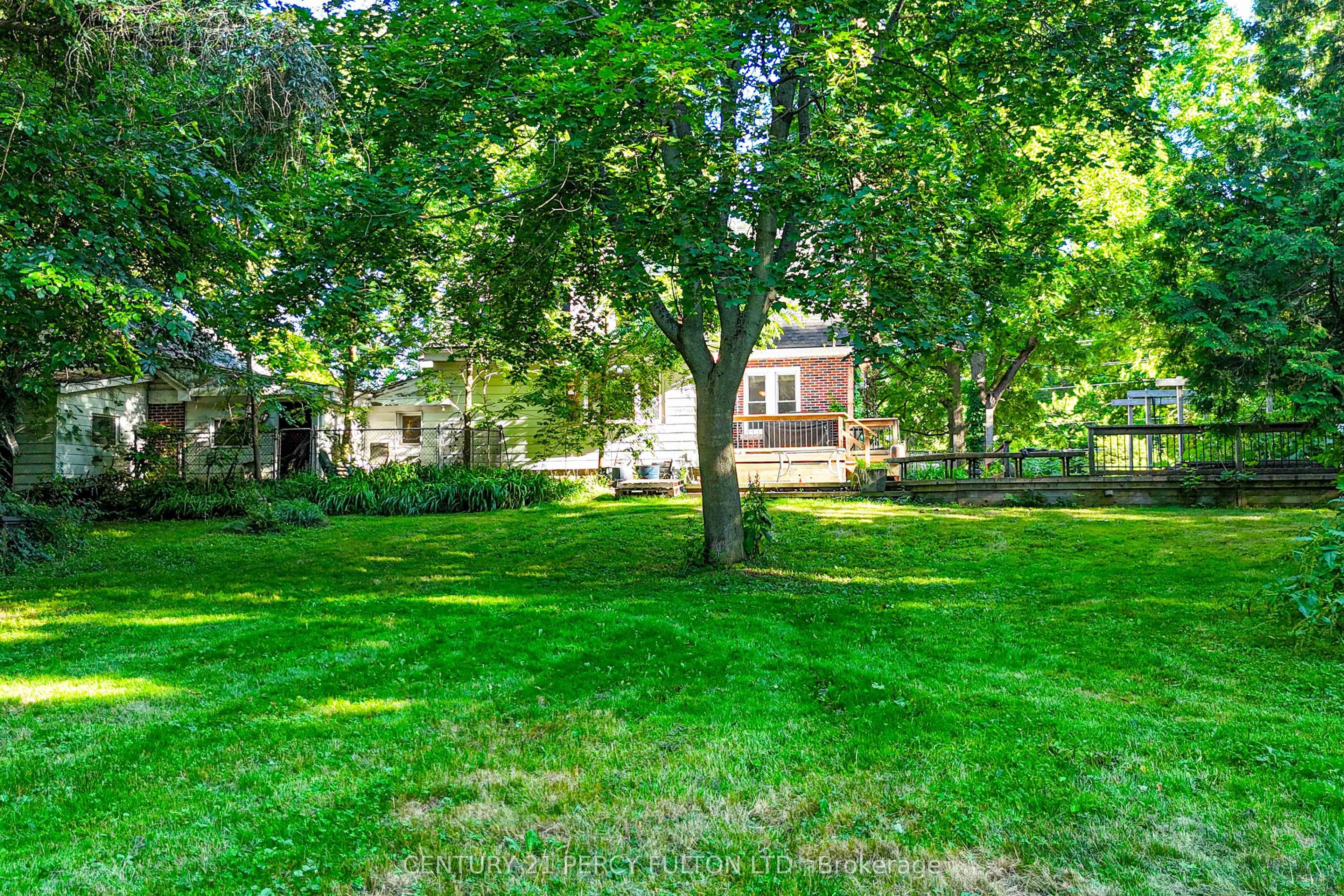 Listing 296925 Image