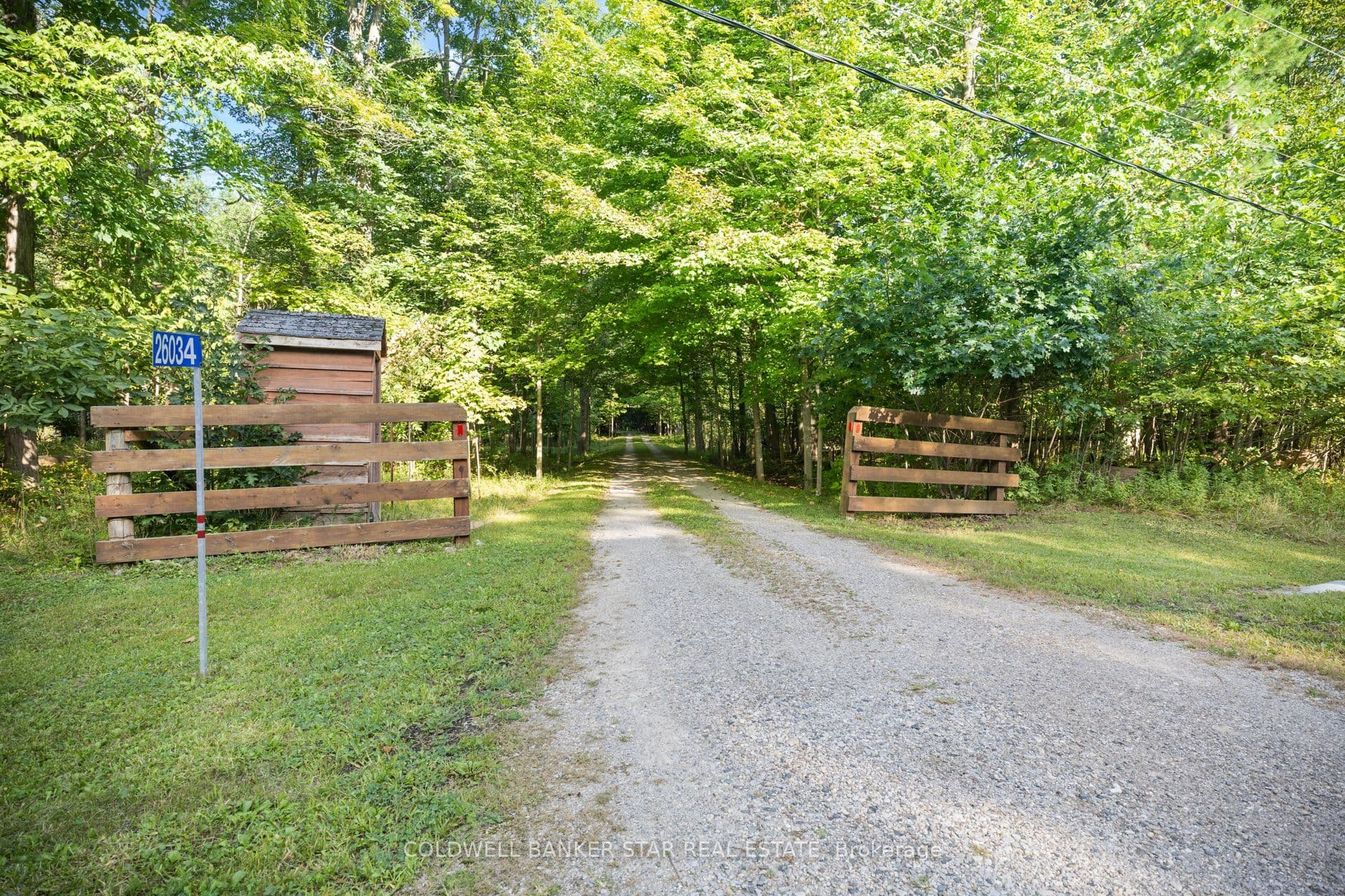 Listing 299239 Image