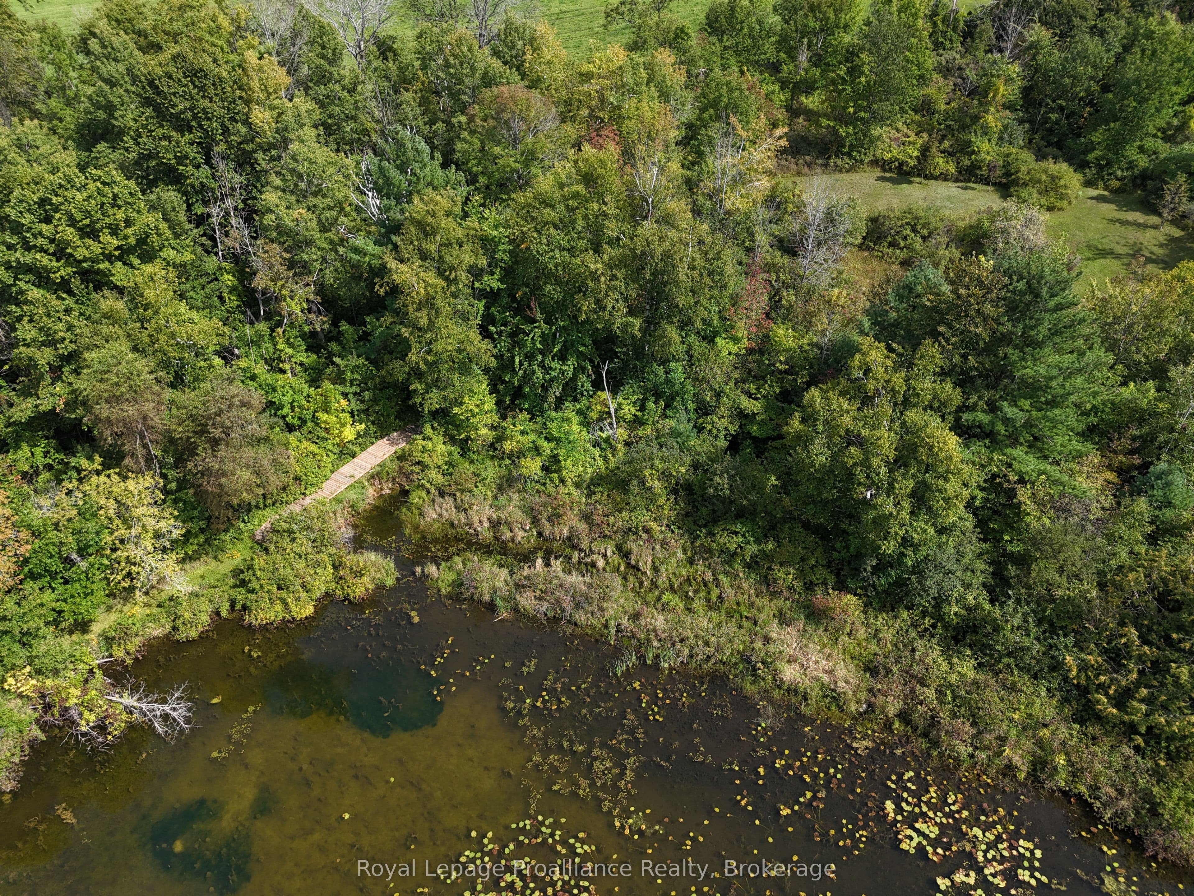 Listing 318203 Image
