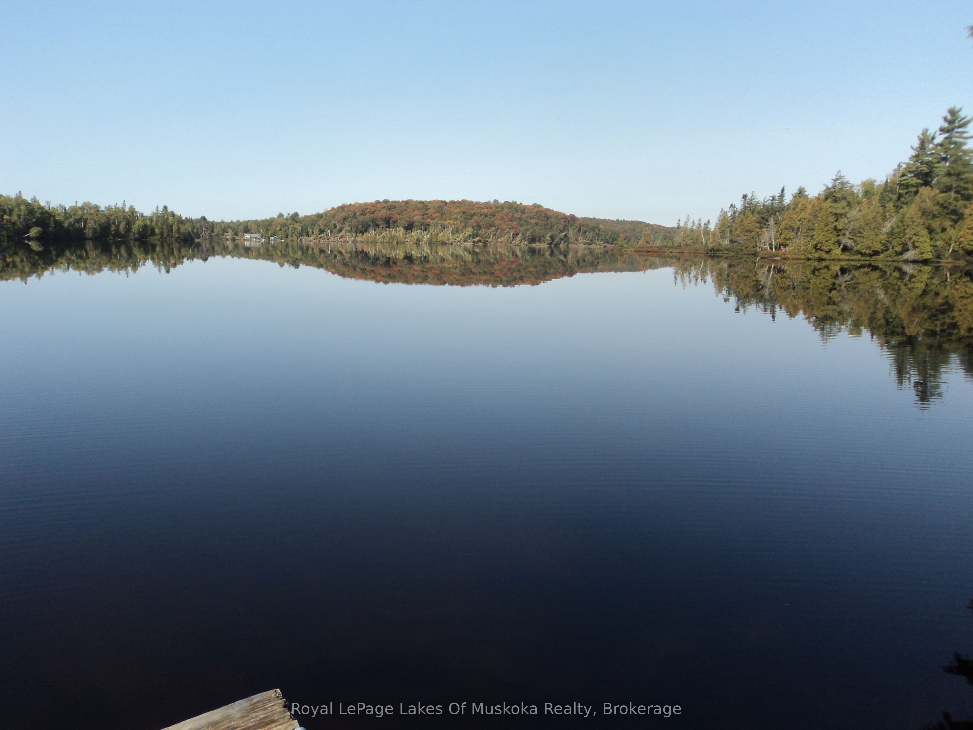 Listing 297027 Image