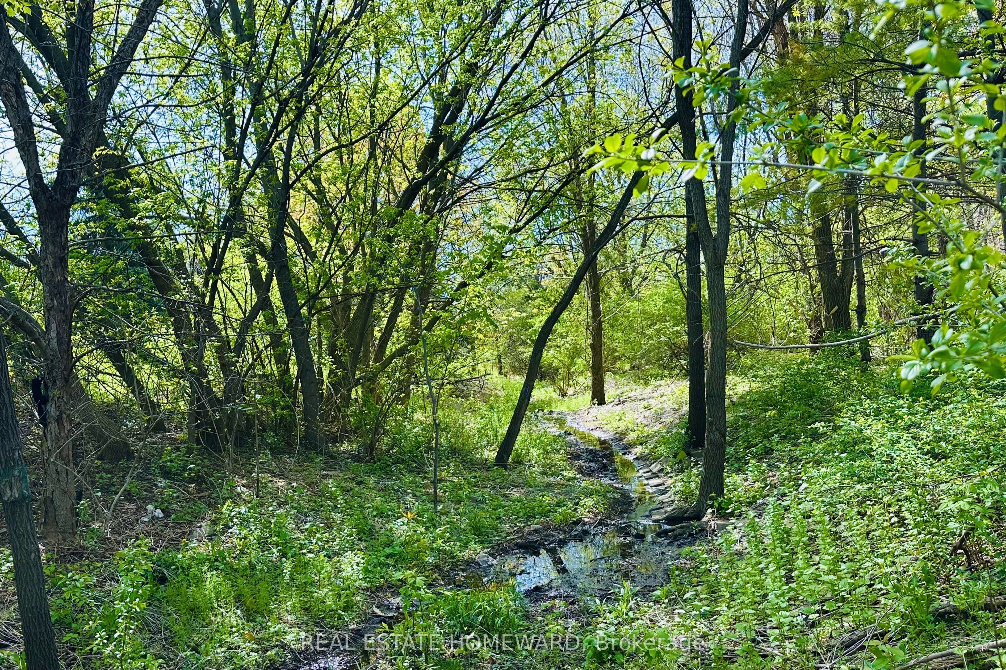 Listing 296332 Image