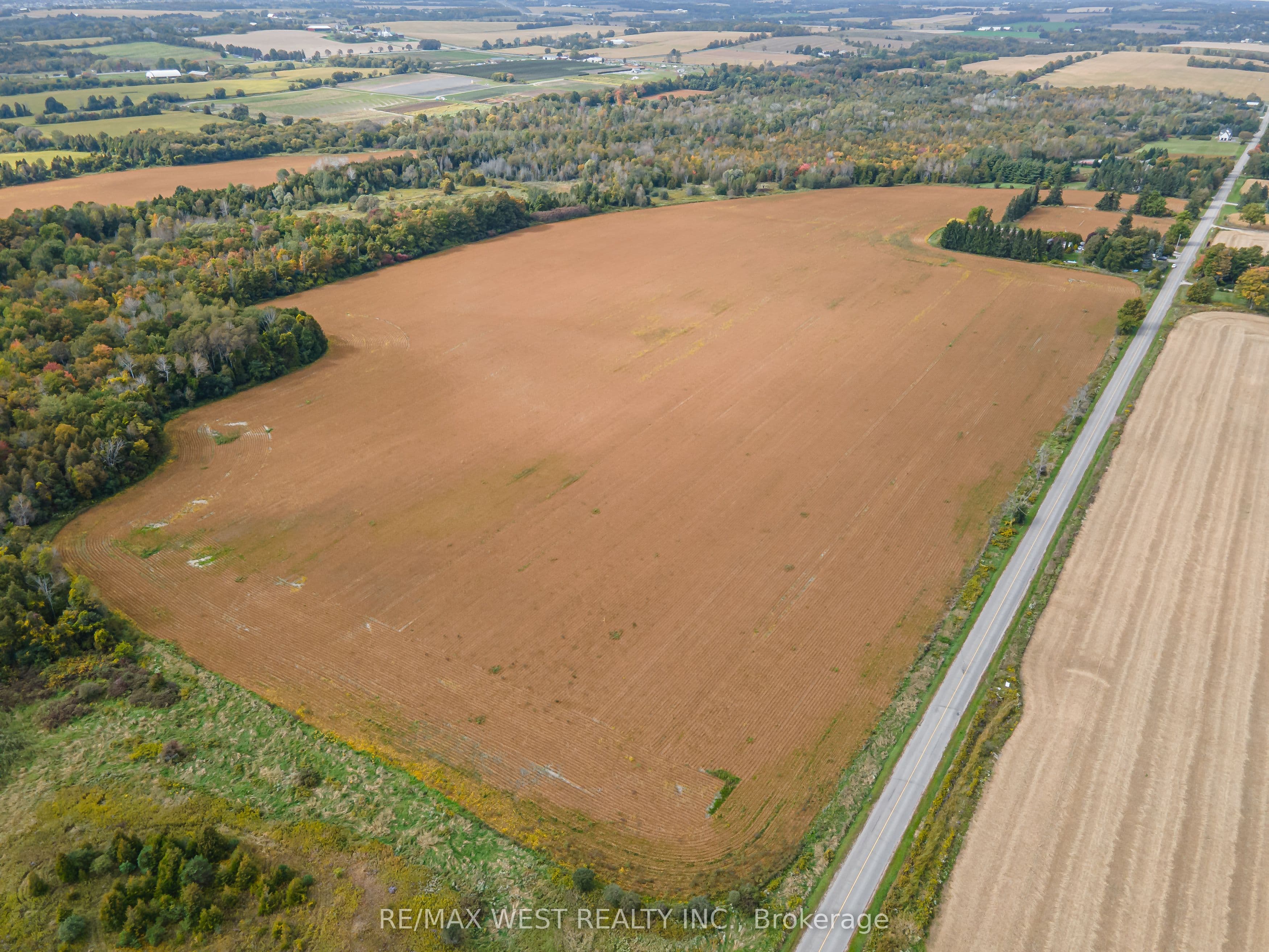 Listing 343382 Image