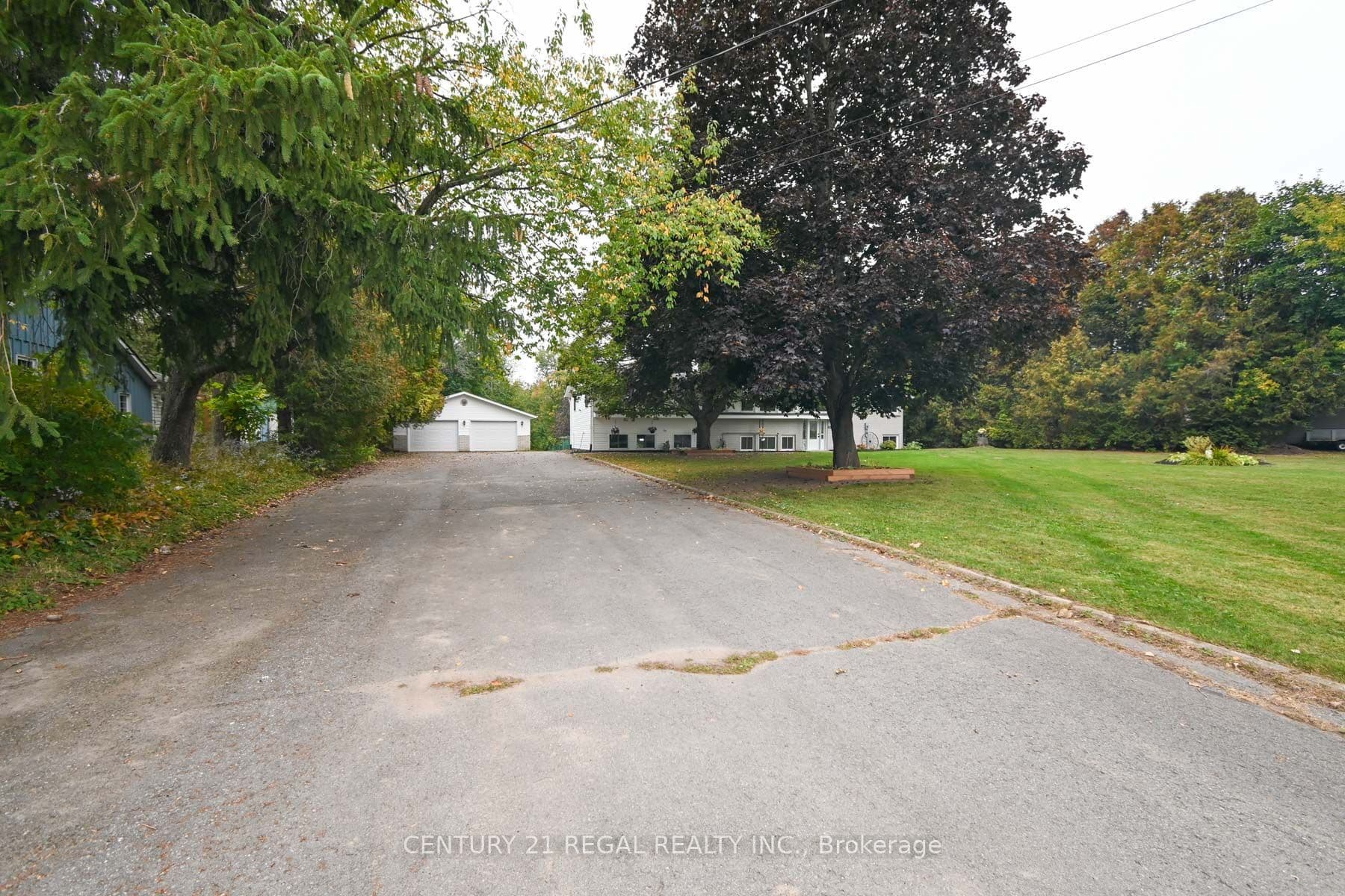 Listing 343938 Image