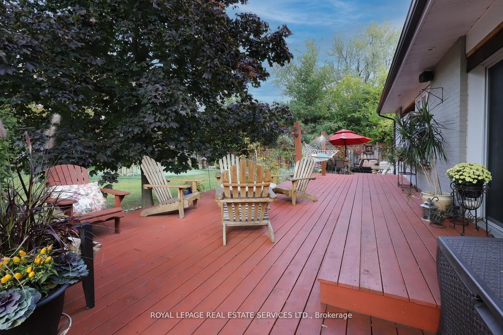 Listing 298619 Image