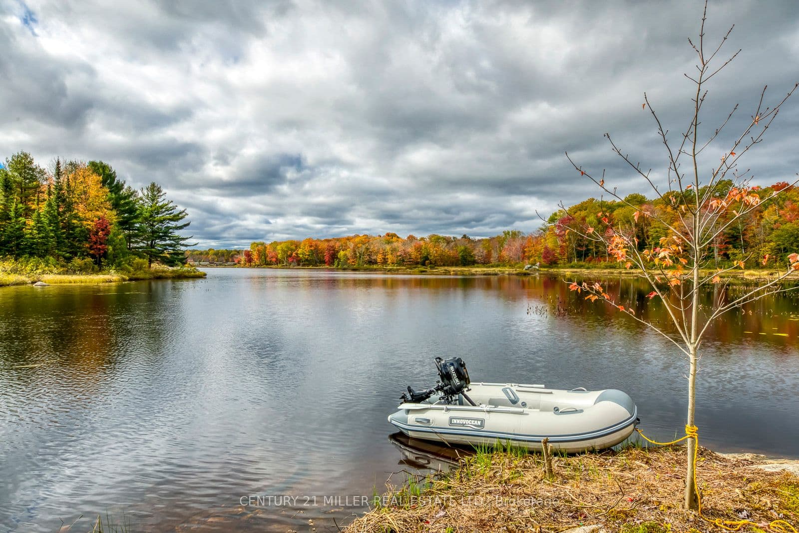 Listing 301630 Image