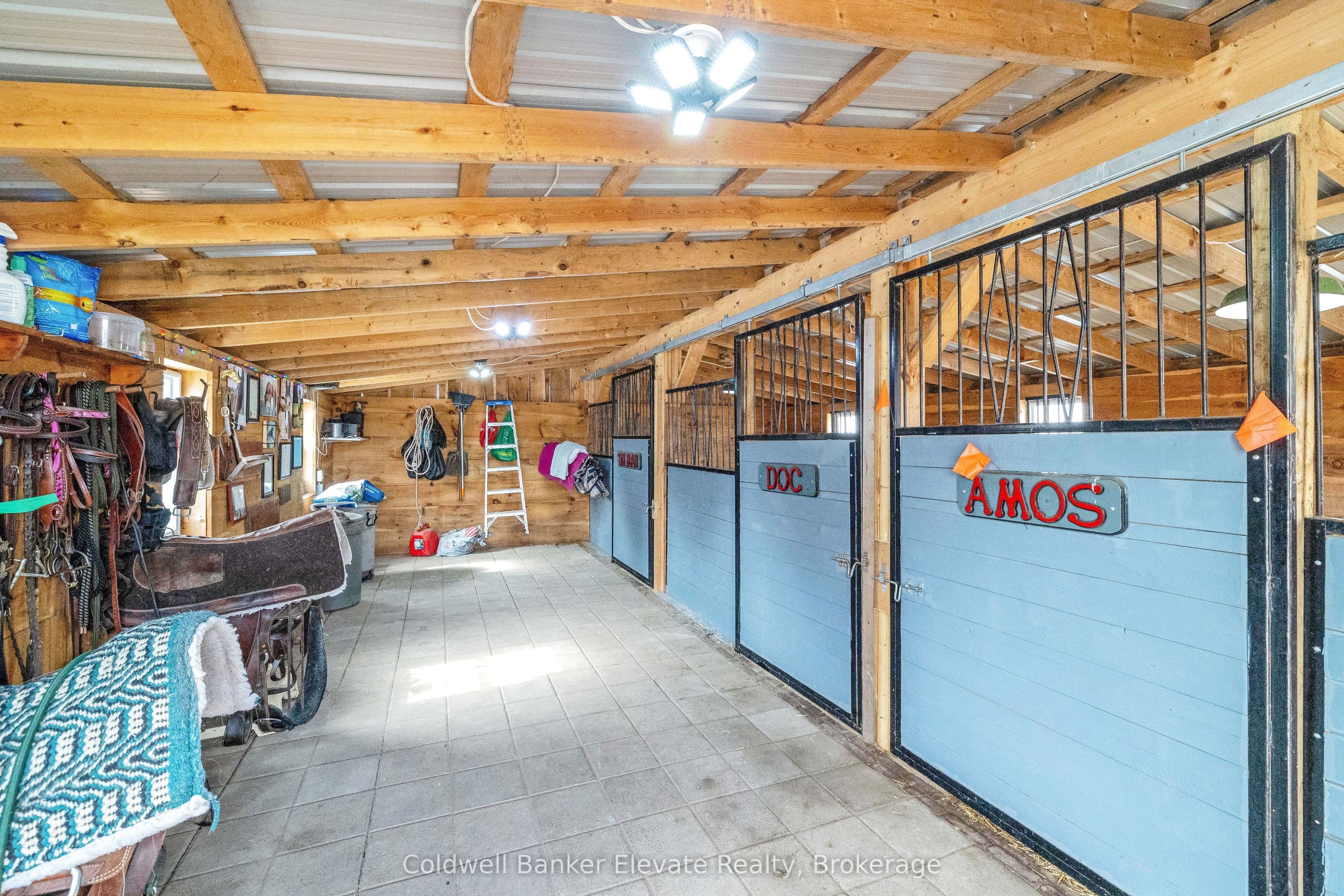 Listing 299751 Image