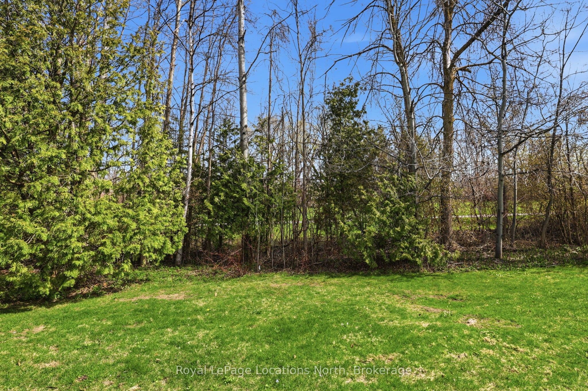 Listing 299347 Image
