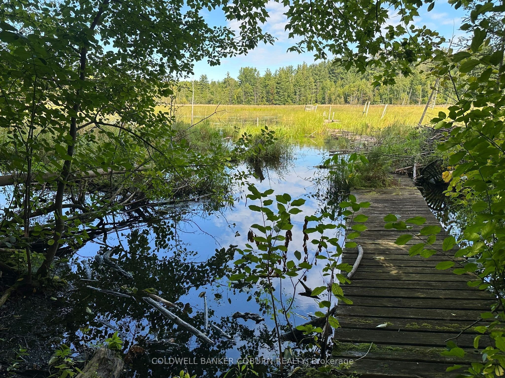 Listing 300530 Image