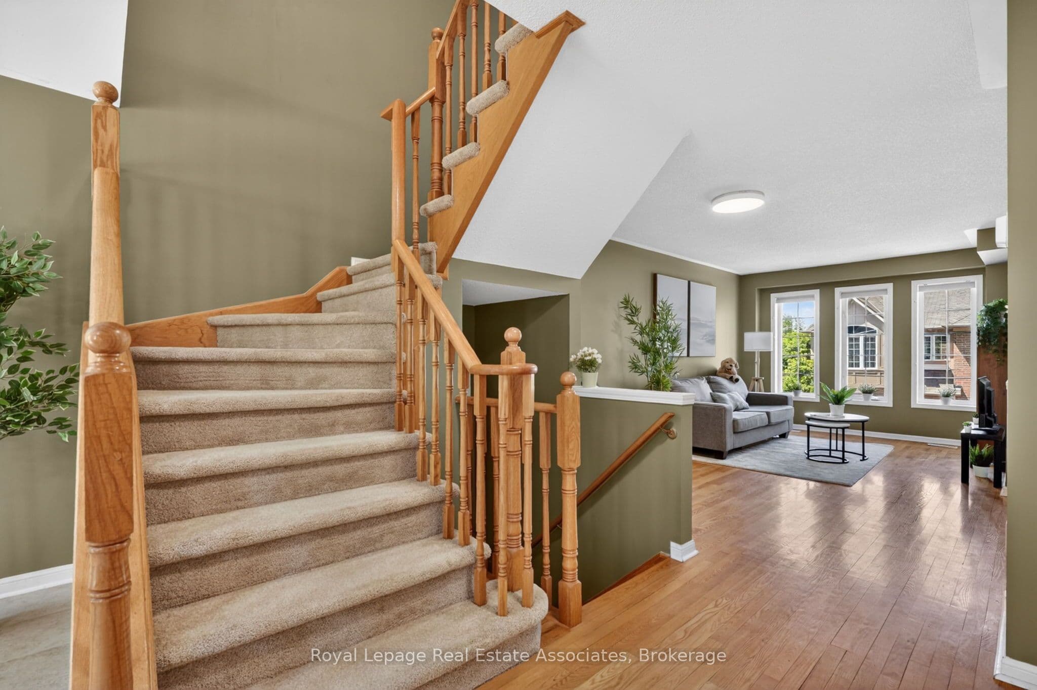Listing 301341 Image
