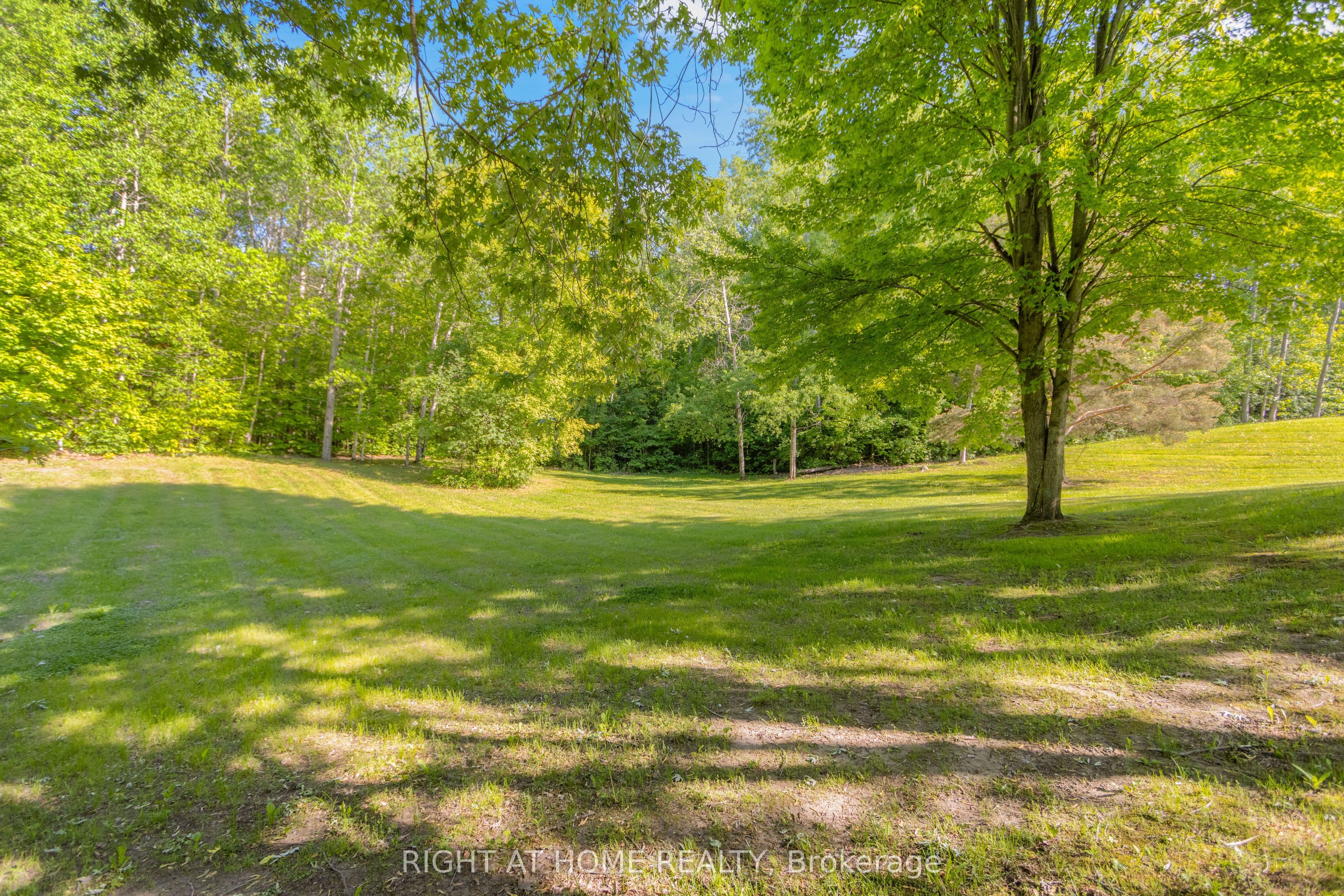 Listing 302761 Image