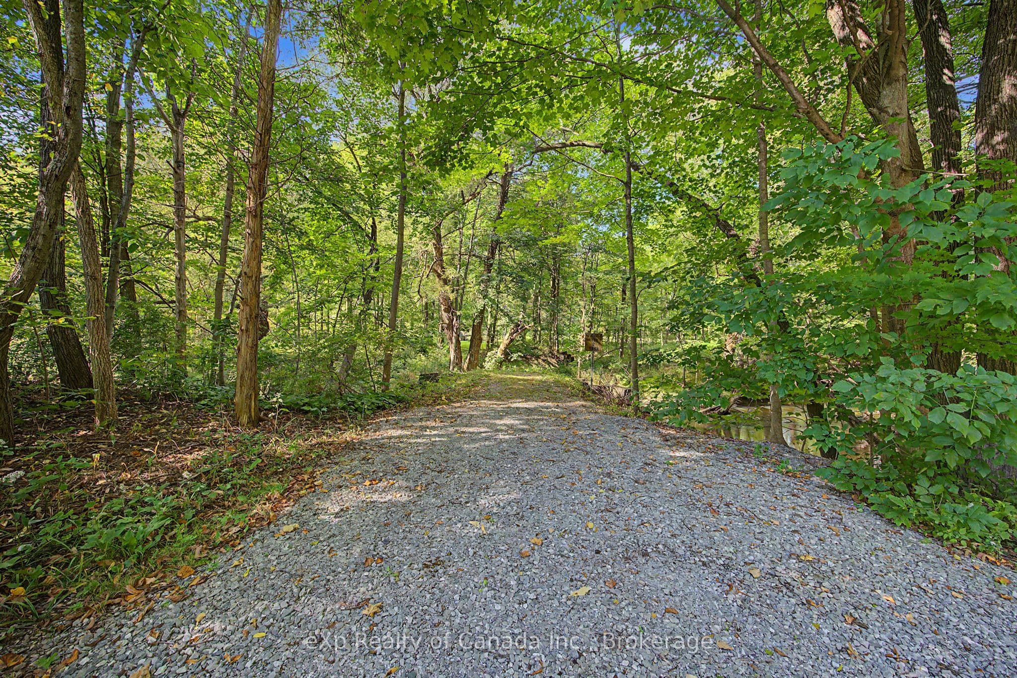 Listing 313190 Image