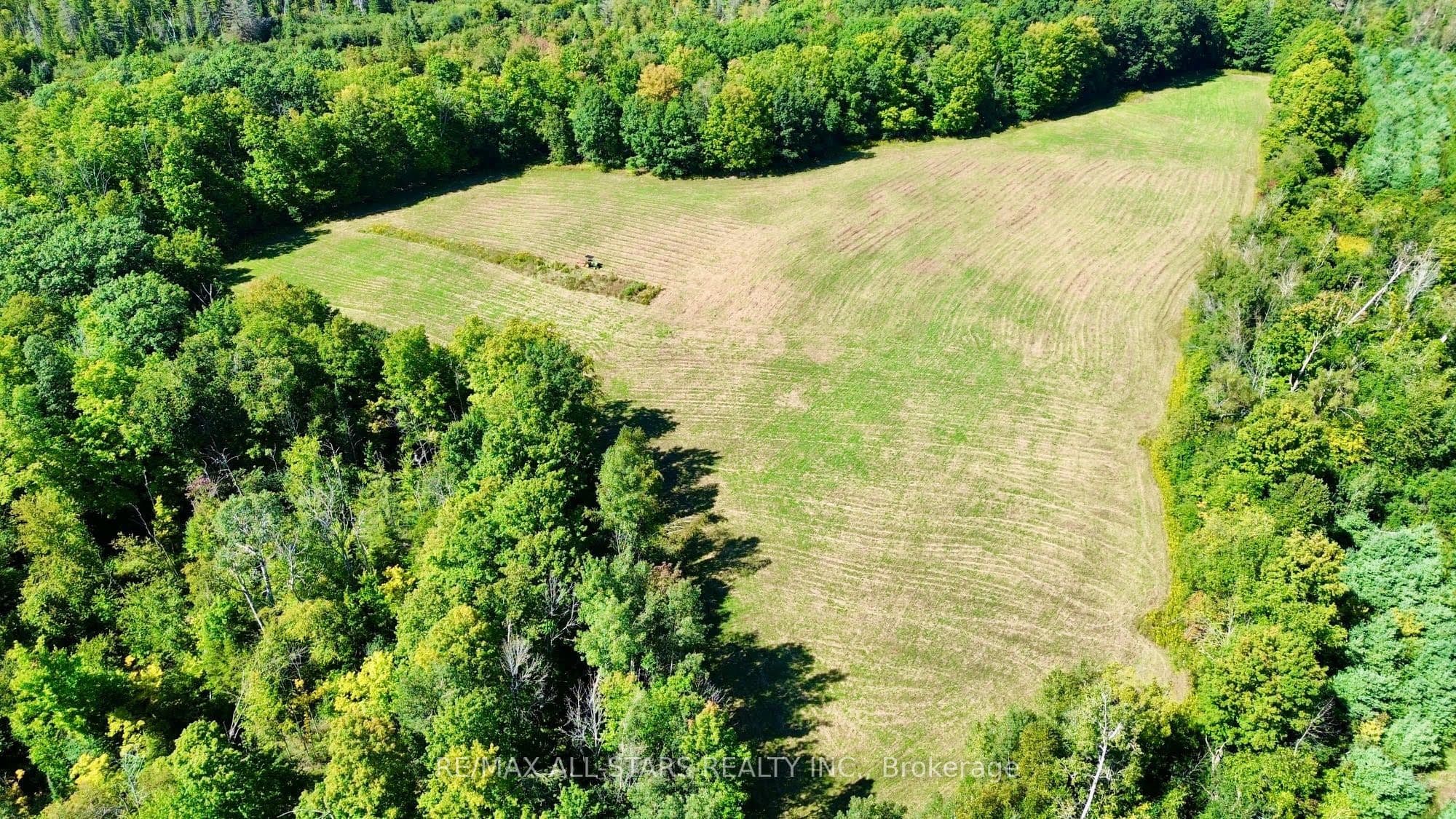 Listing 303815 Image