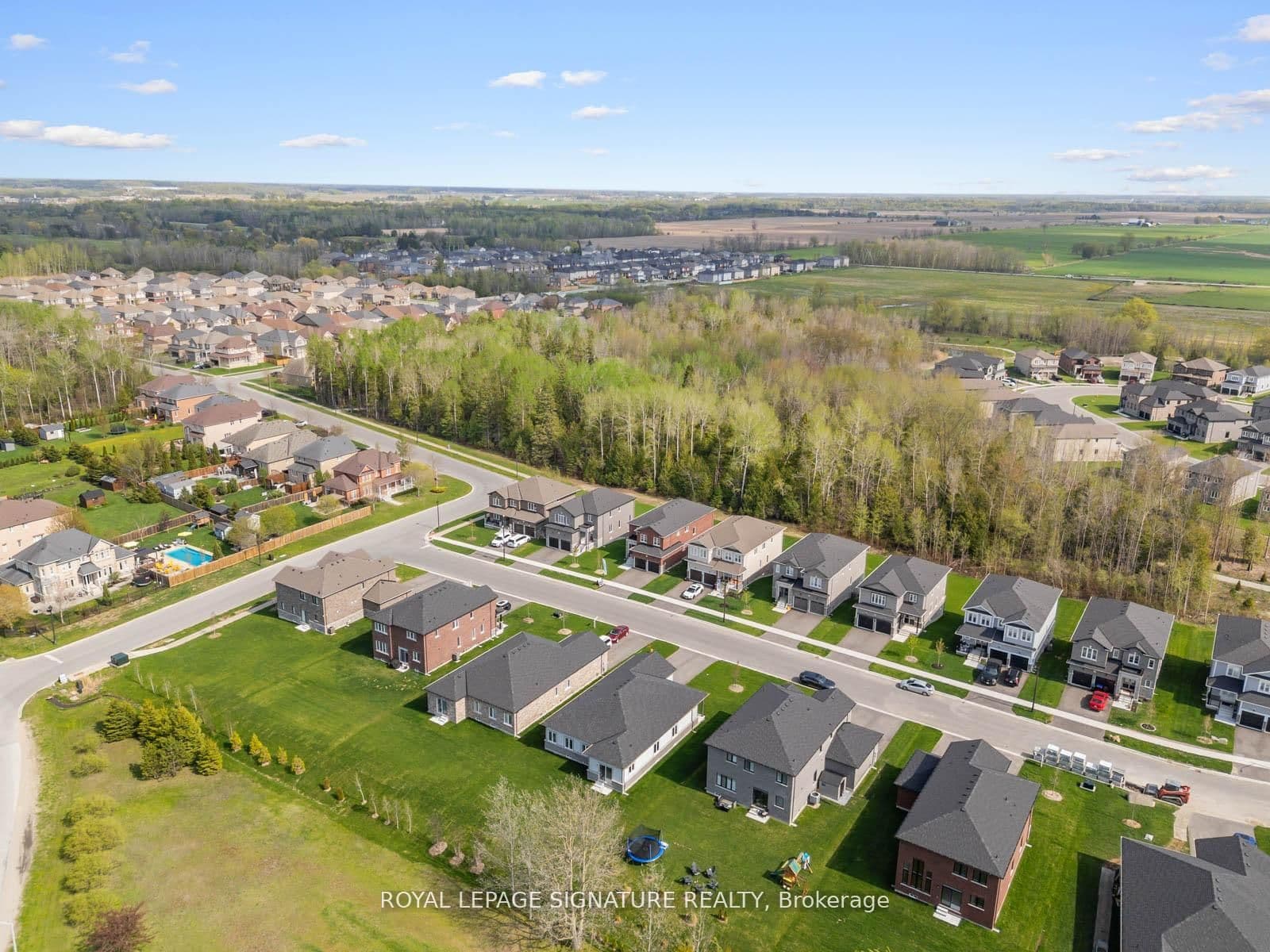 Listing 305353 Image