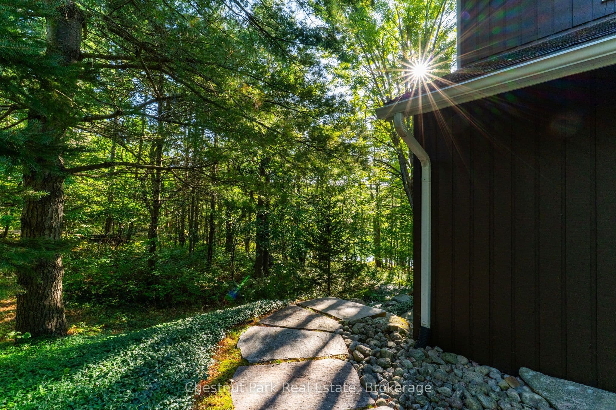 Listing 309204 Image