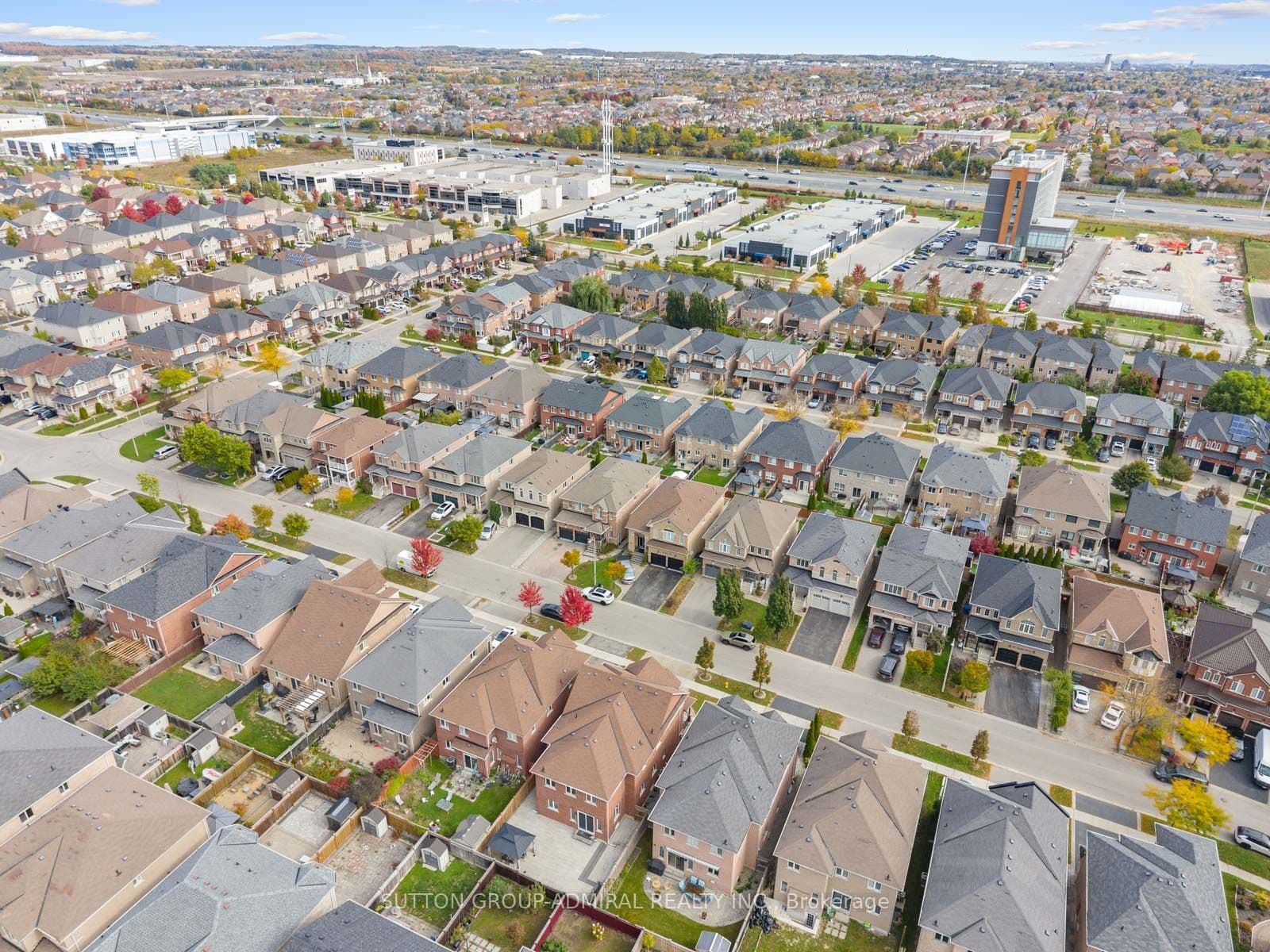 Main Property