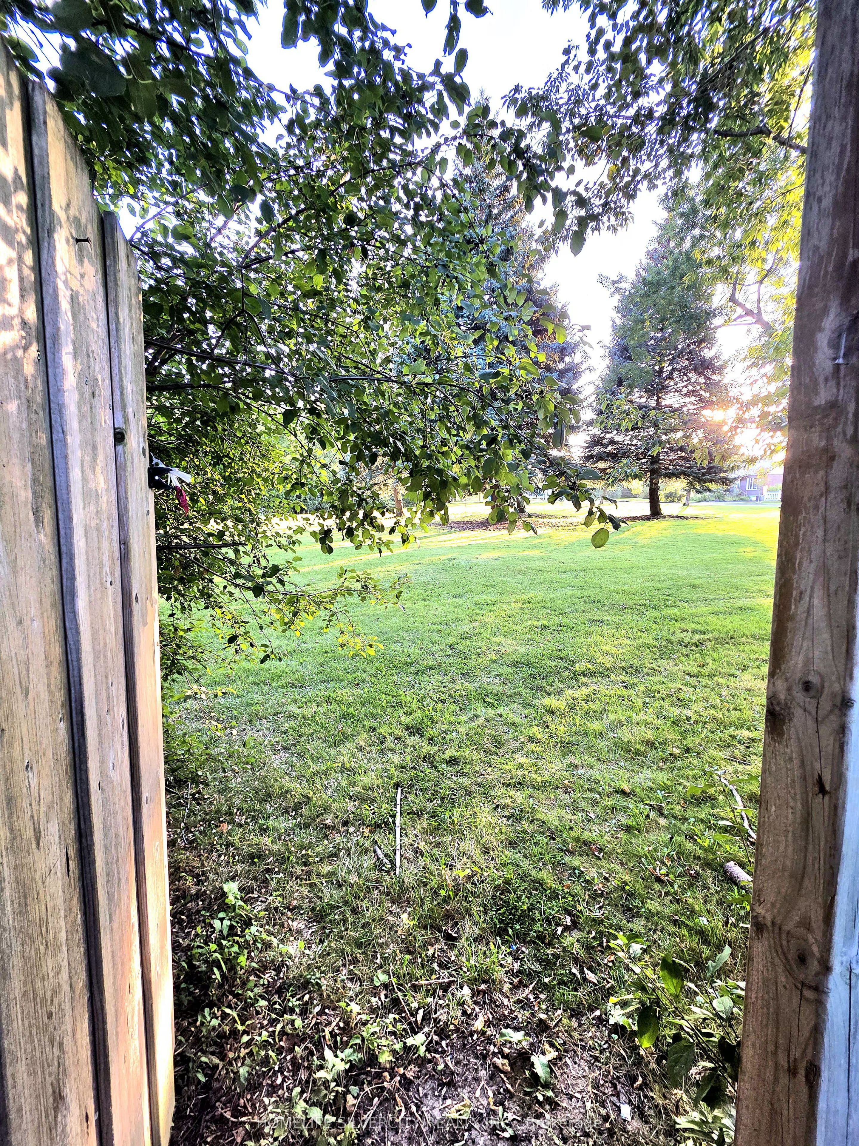 Listing 308281 Image
