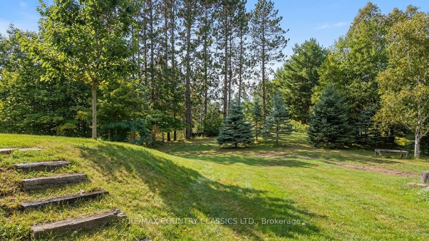 Listing 320731 Image