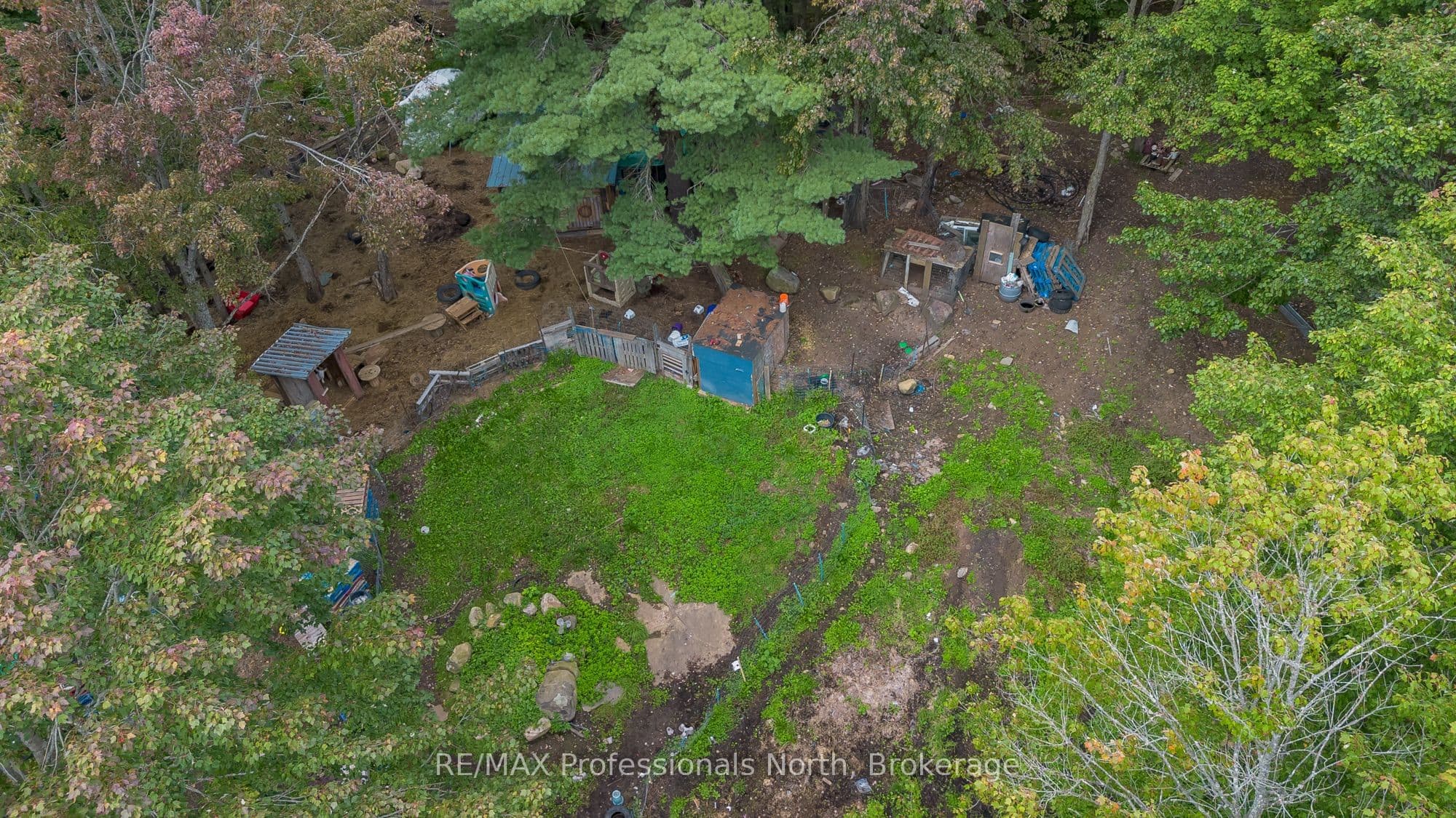 Listing 319065 Image