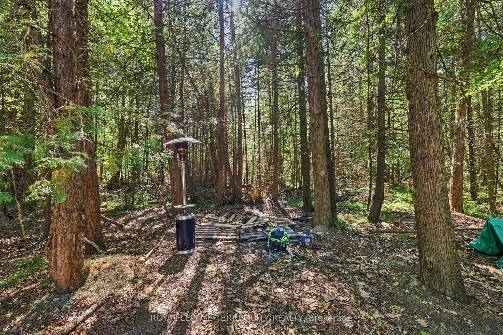 Listing 321202 Image