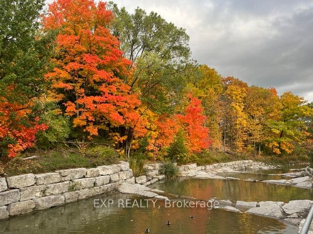 Listing 309351 Image