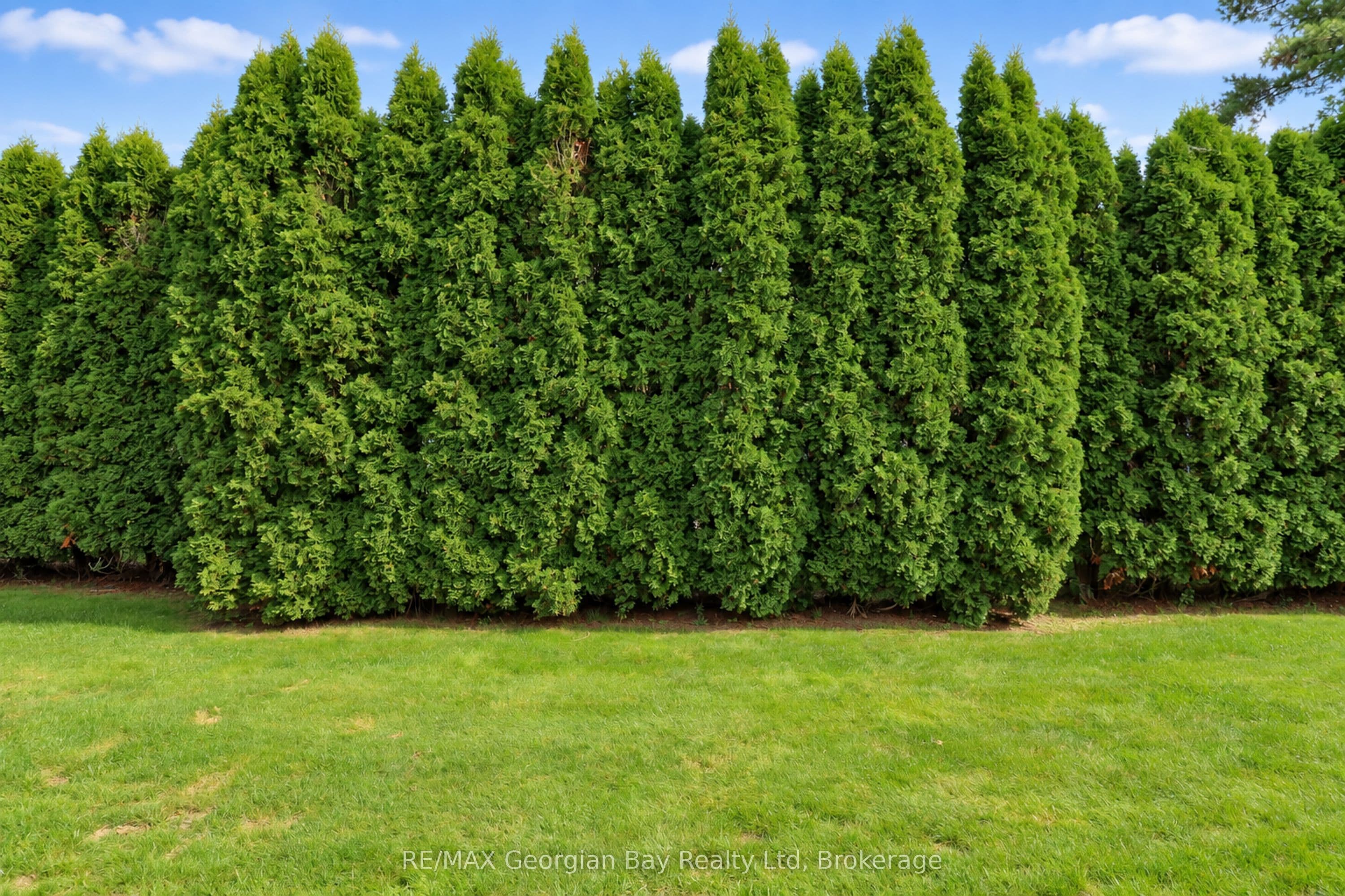 Listing 315983 Image